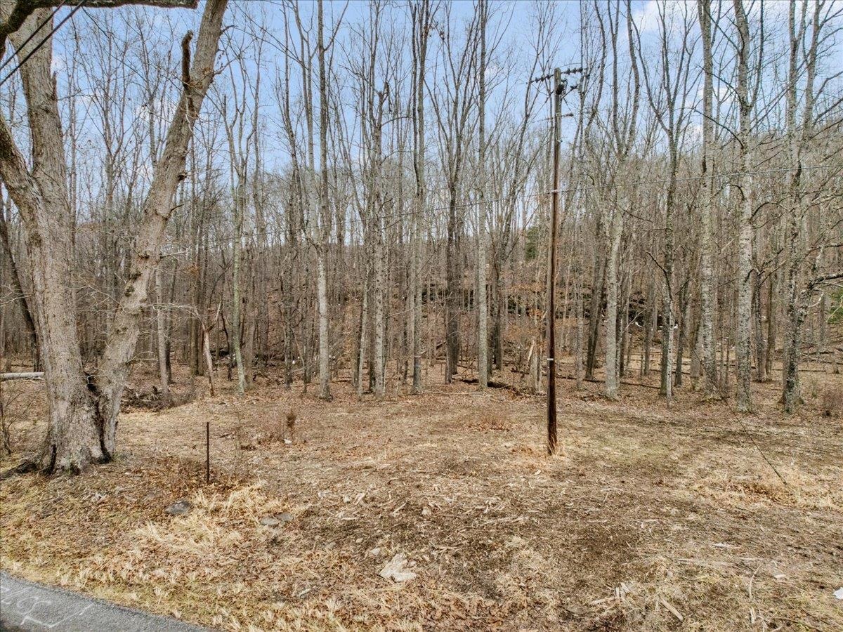 Tbd Mount Tabor Road Blacksburg VA 24060