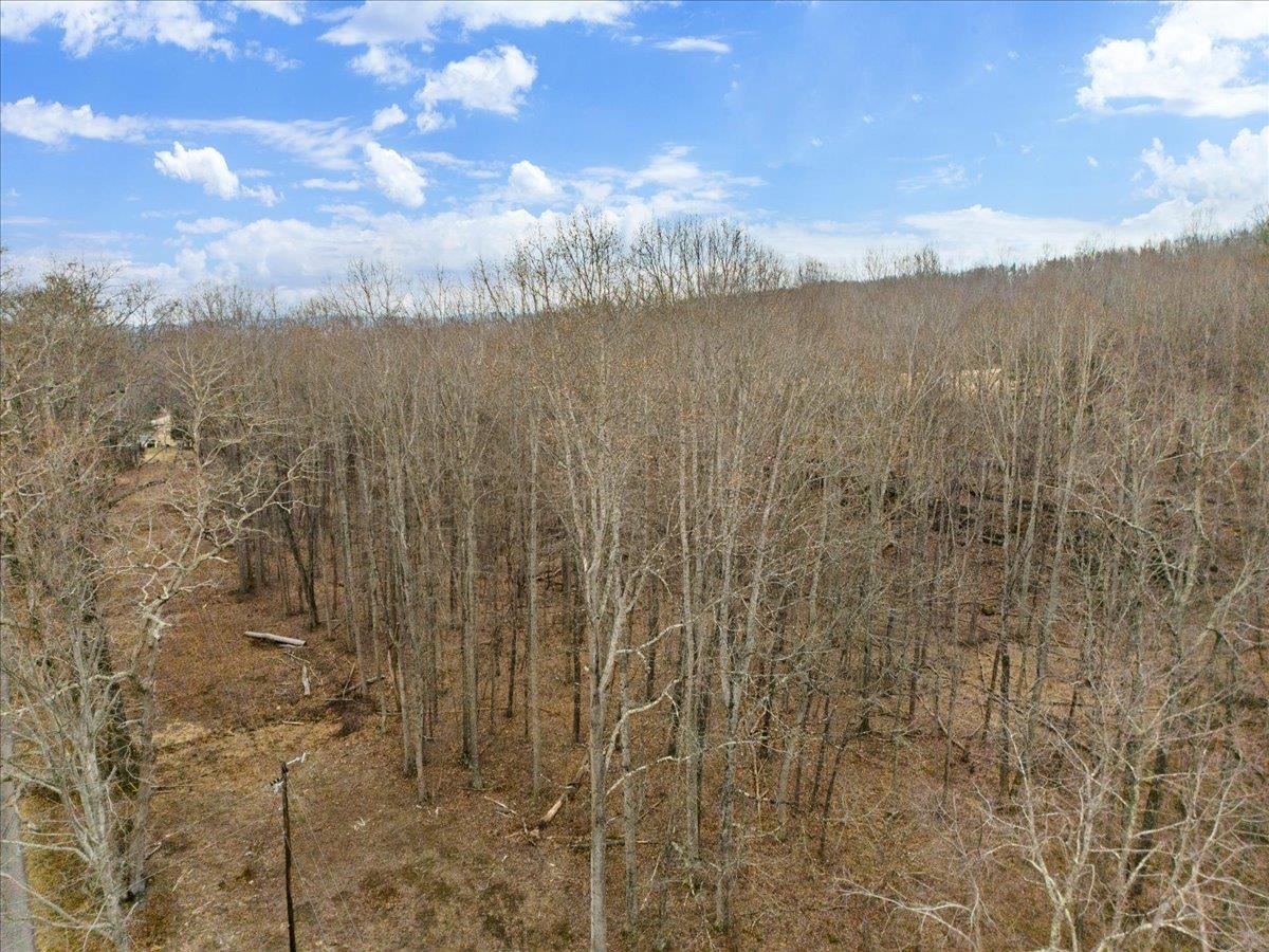 Tbd Mount Tabor Road Blacksburg VA 24060