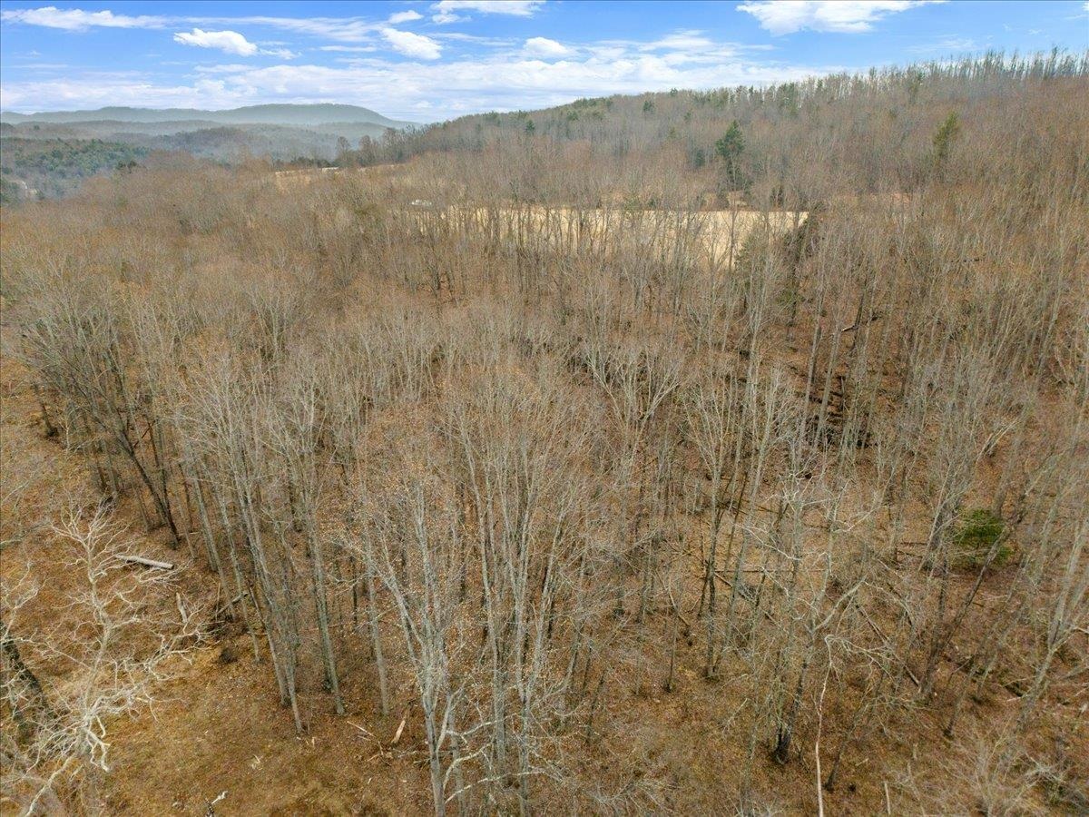 Tbd Mount Tabor Road Blacksburg VA 24060