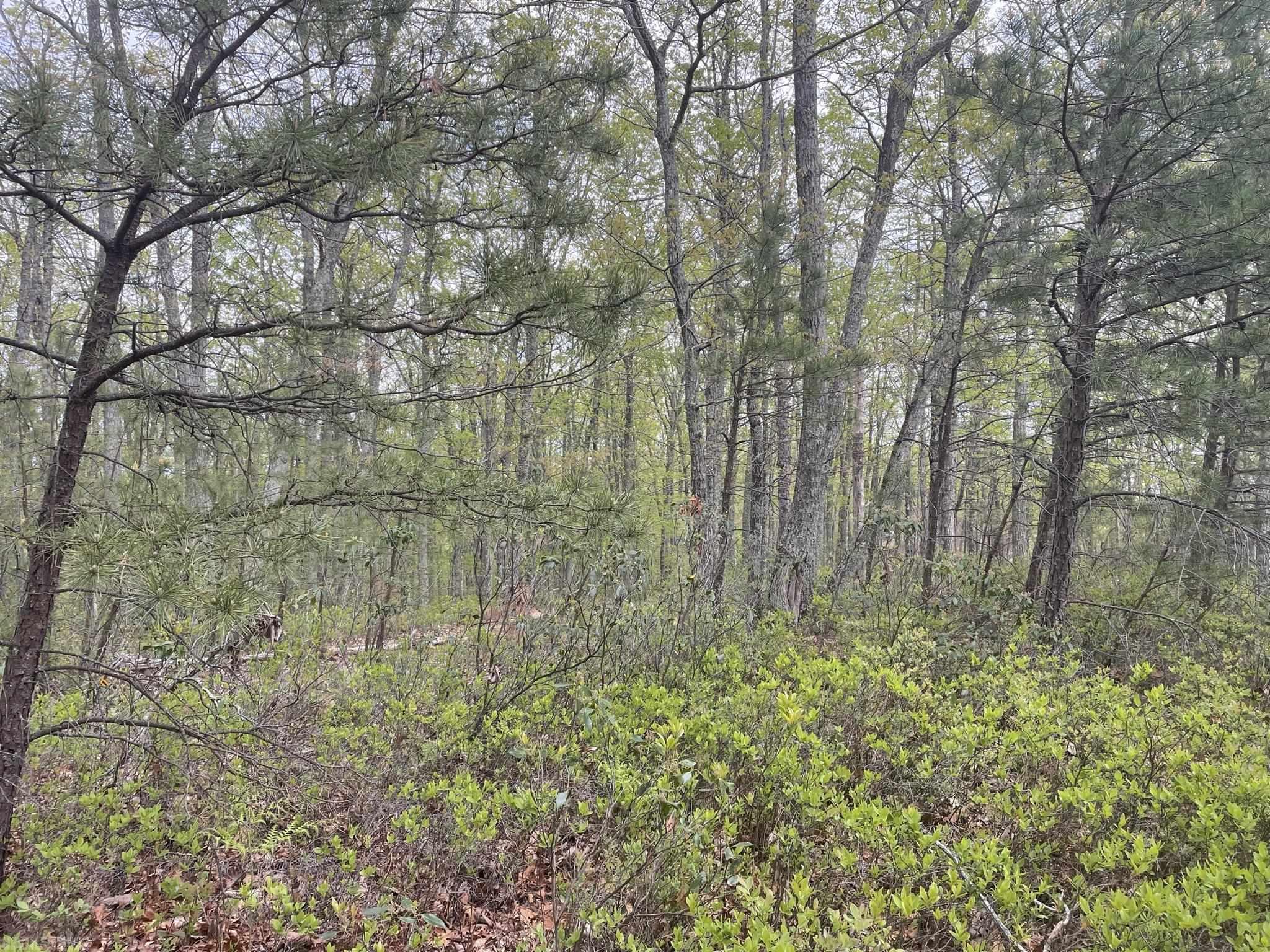 3990 Buck Mountain Ridge Blacksburg VA 24060