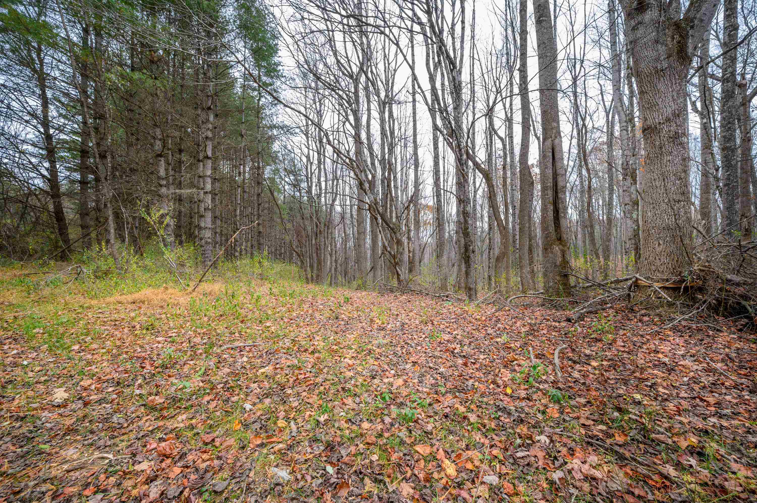 Pilot VA, 621 Wild Cherry Road NE