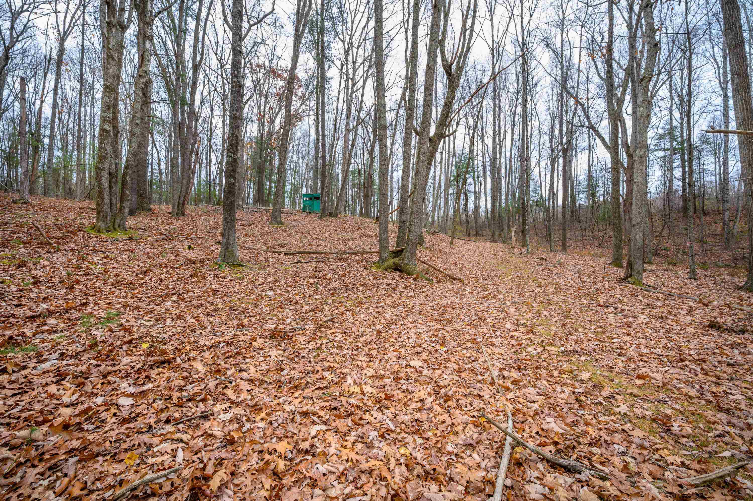 621 Wild Cherry Road NE Pilot VA 24138