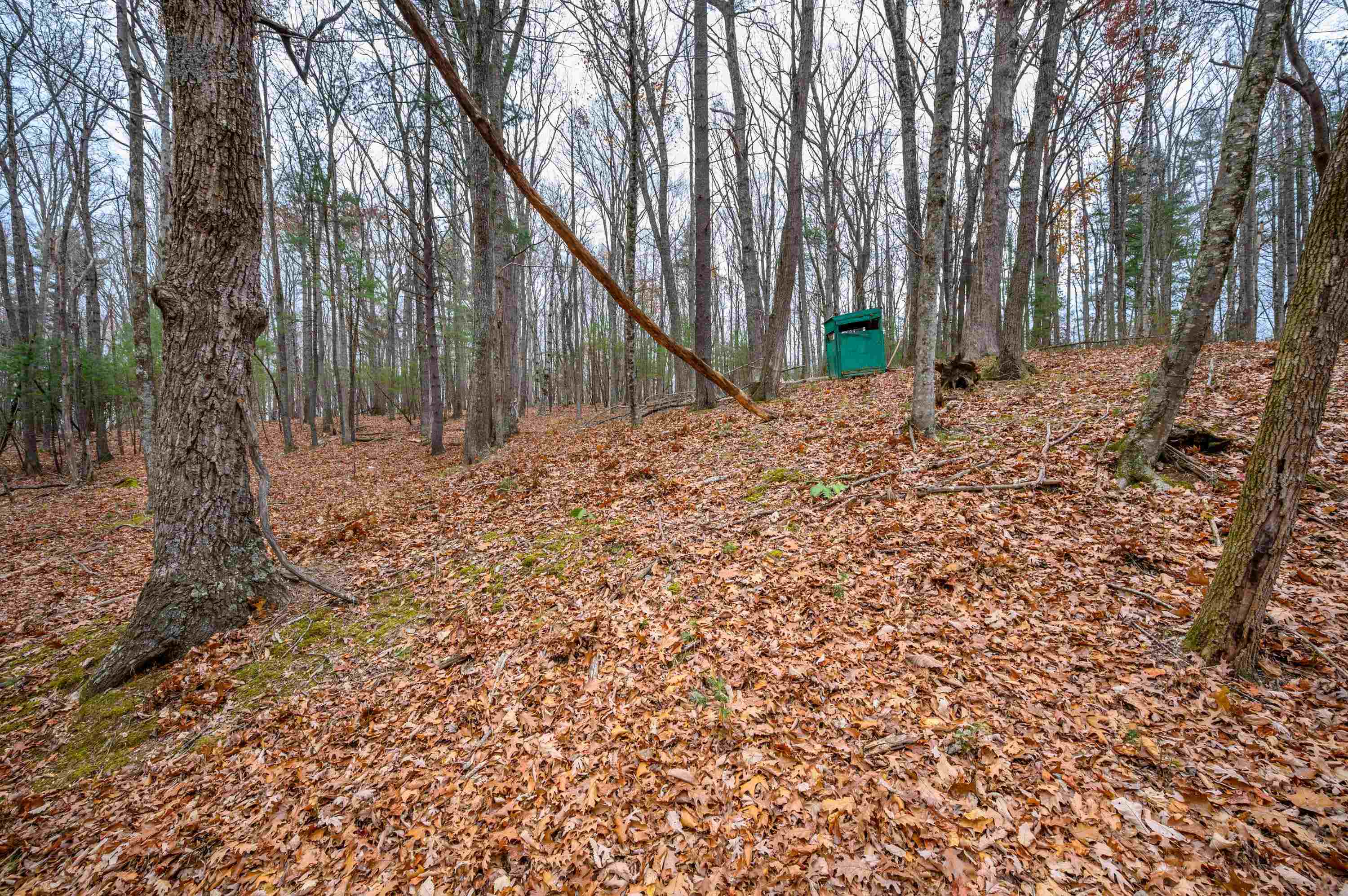 621 Wild Cherry Road NE Pilot VA 24138