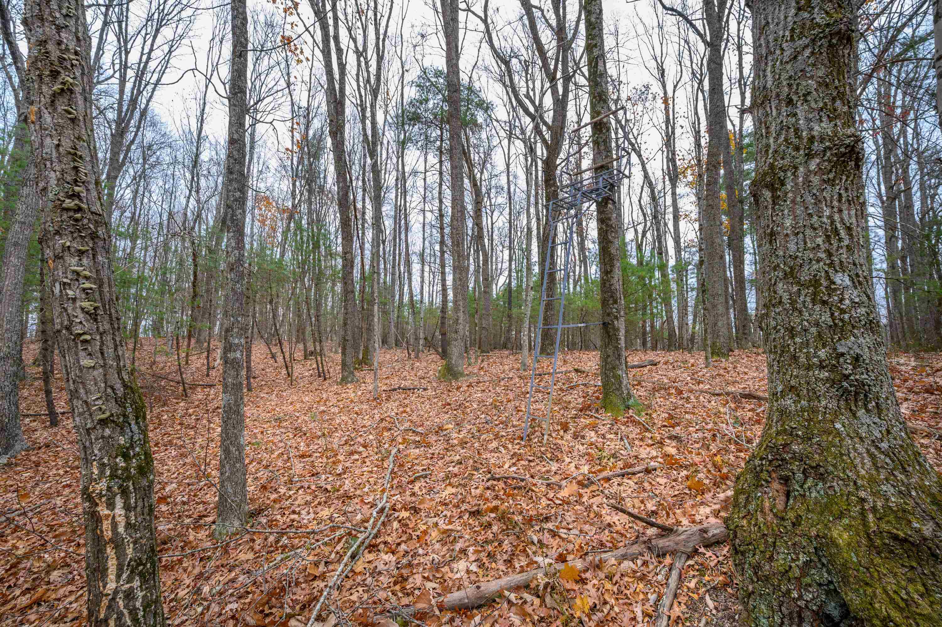 621 Wild Cherry Road NE Pilot VA 24138