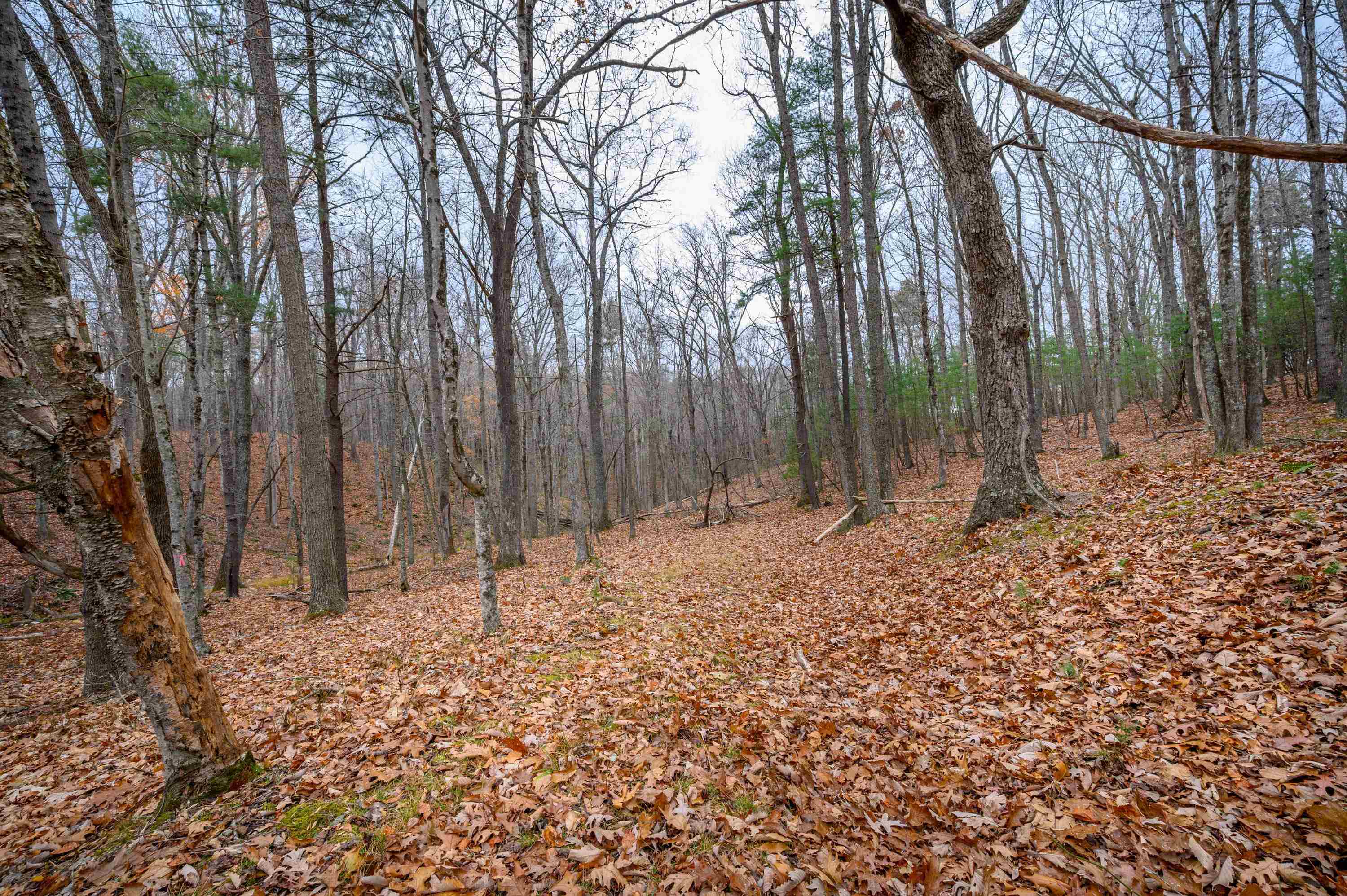 621 Wild Cherry Road NE Pilot VA 24138