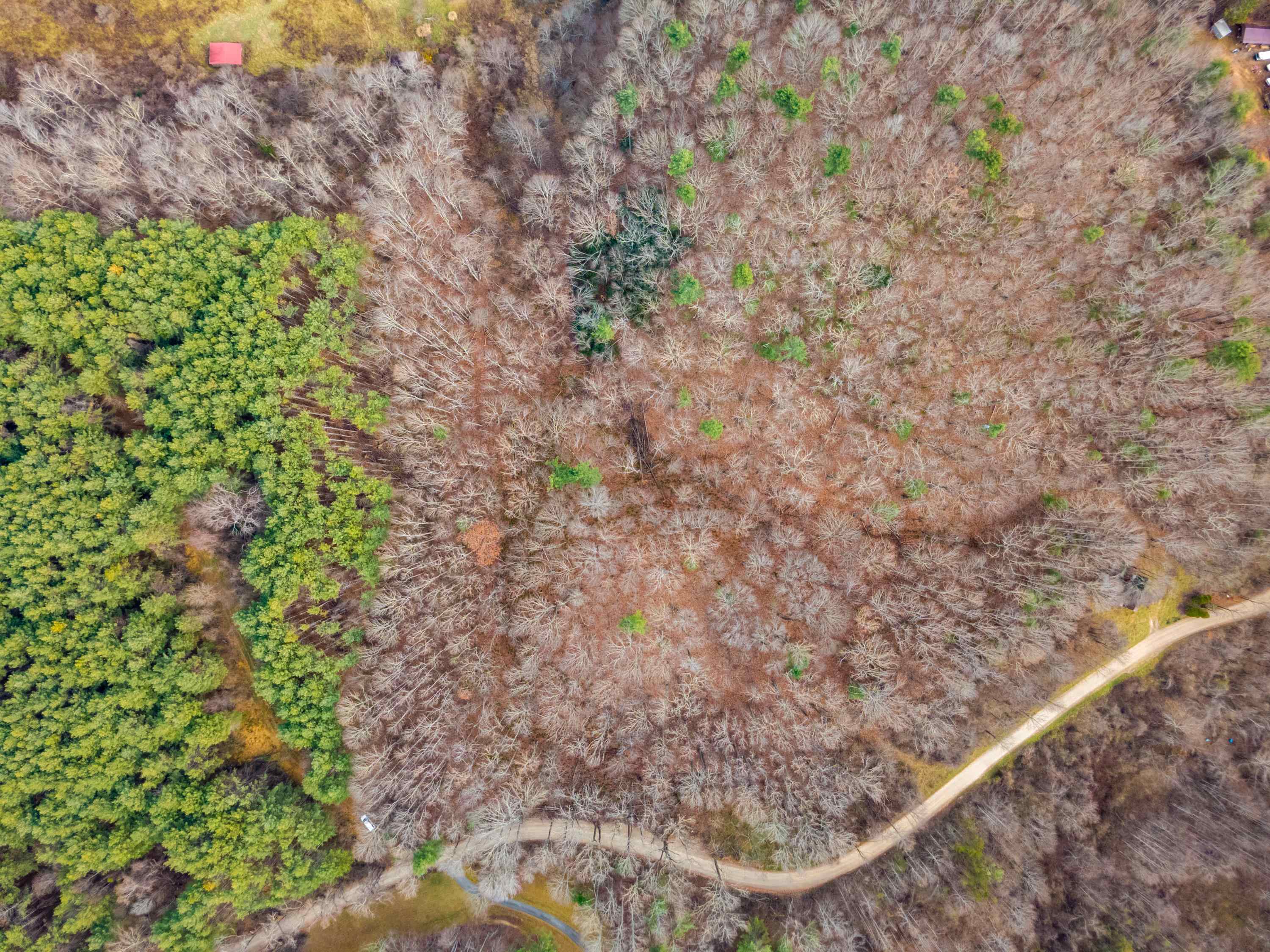 621 Wild Cherry Road NE Pilot VA 24138