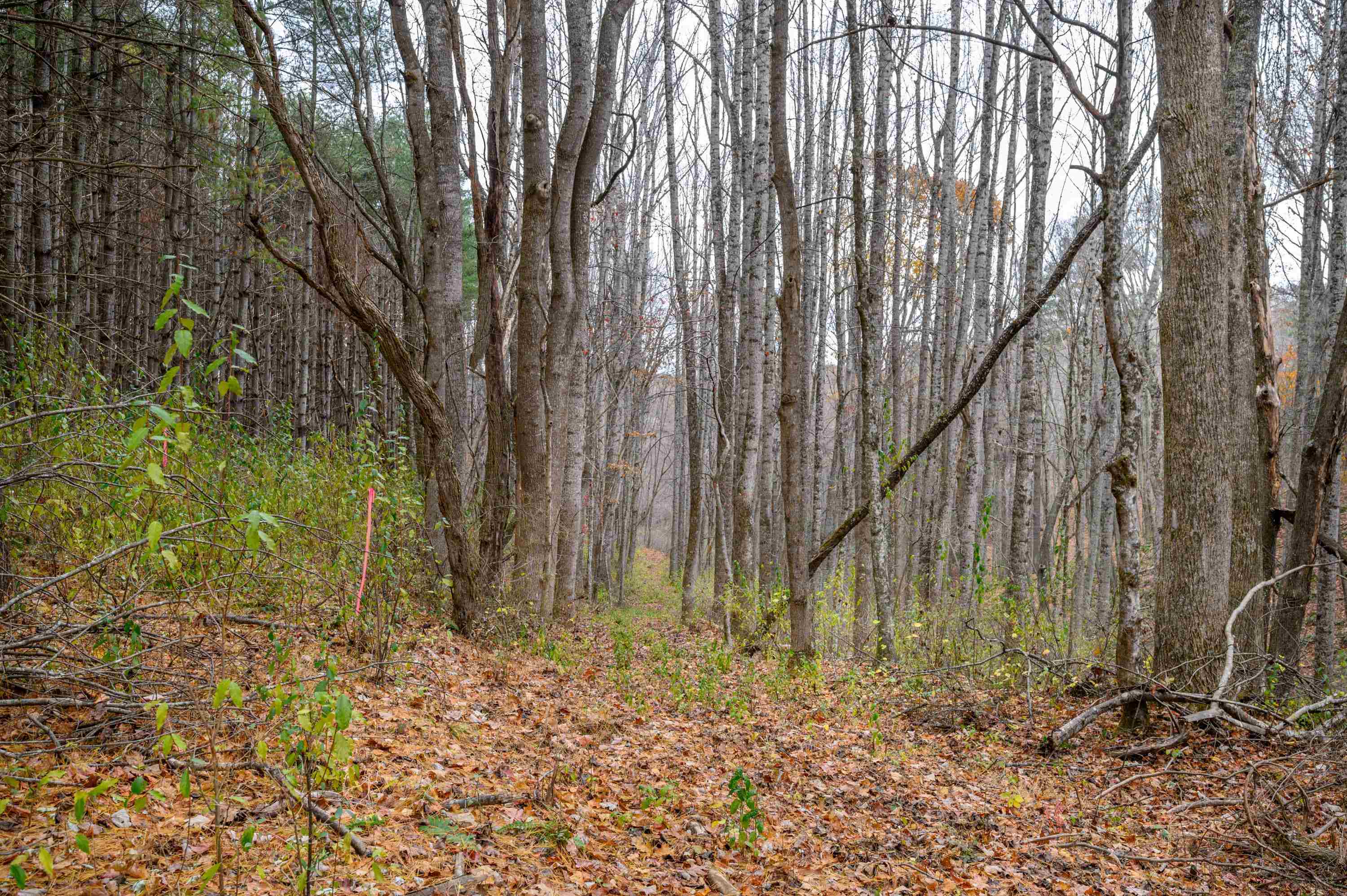 621 Wild Cherry Road NE Pilot VA 24138