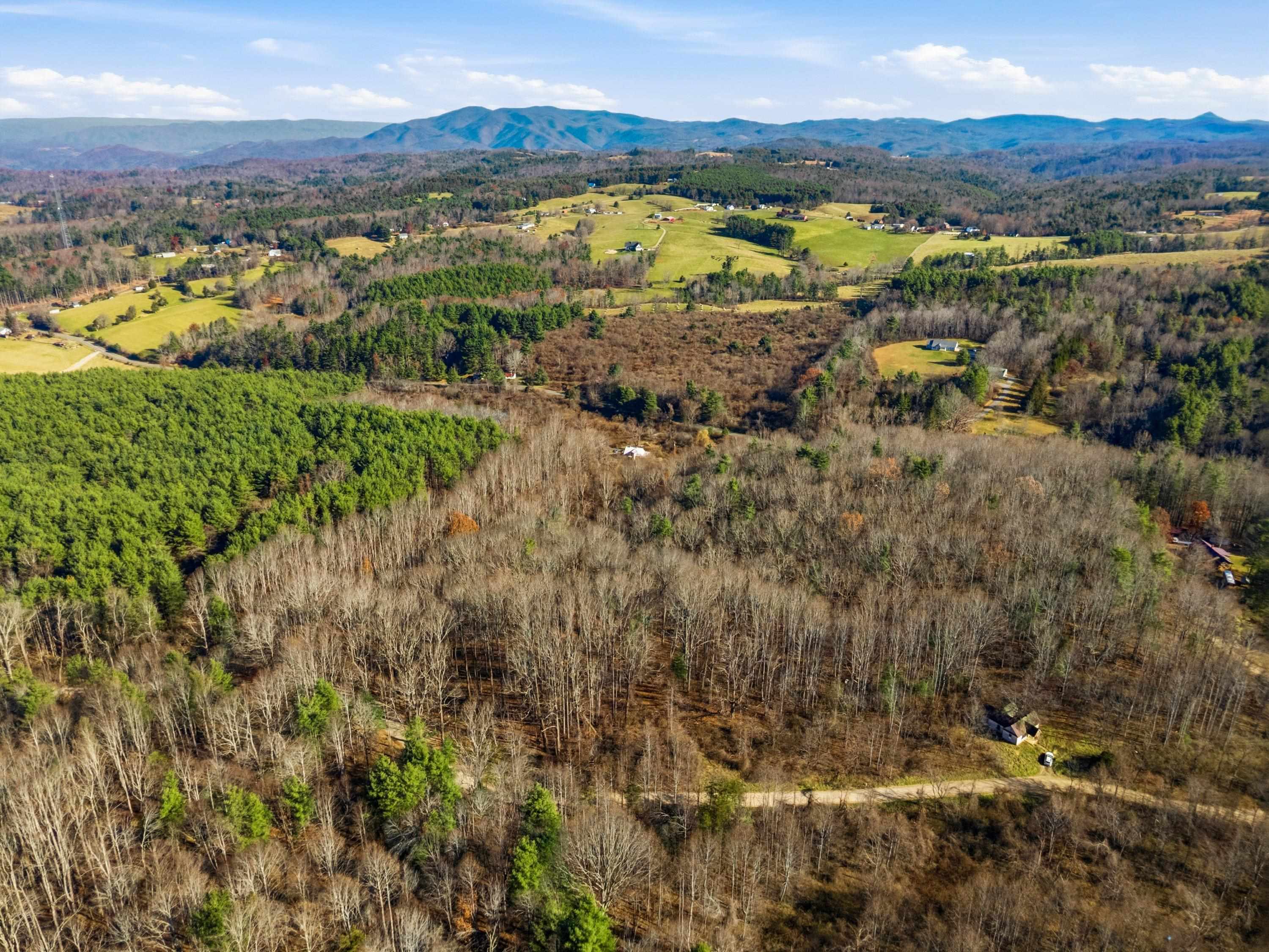 621 Wild Cherry Road NE Pilot VA 24138