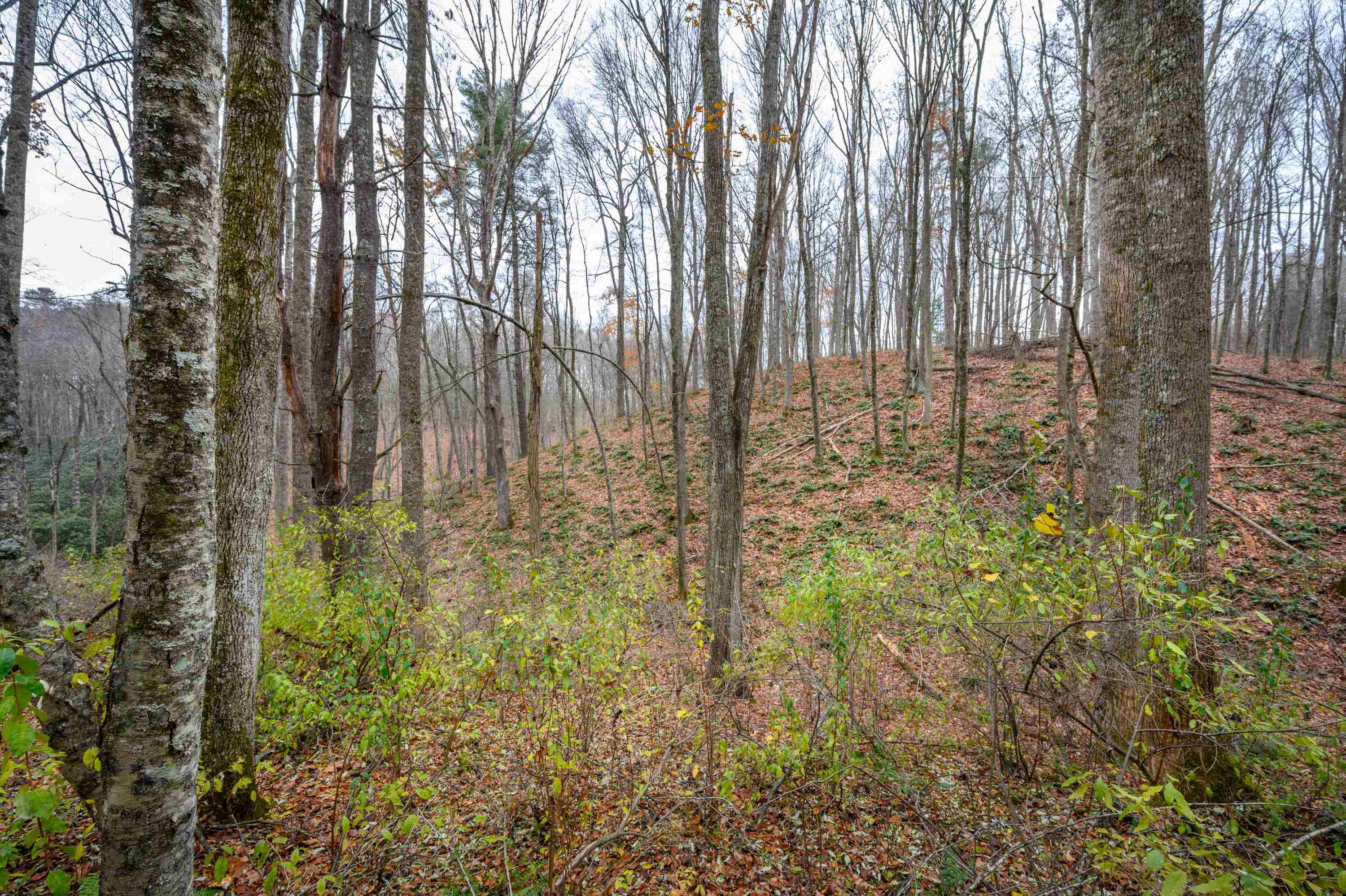 621 Wild Cherry Road NE Pilot VA 24138