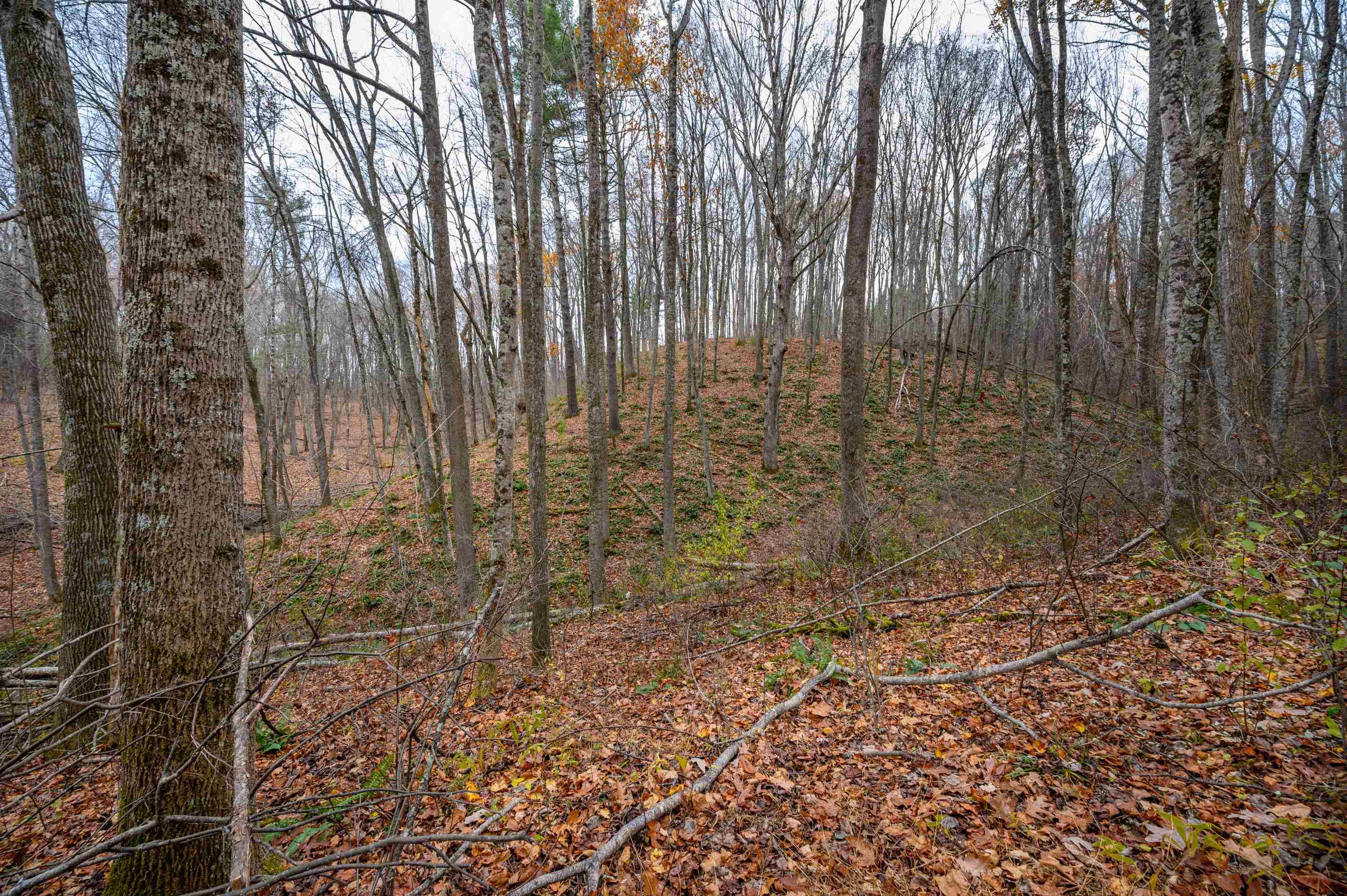 621 Wild Cherry Road NE Pilot VA 24138