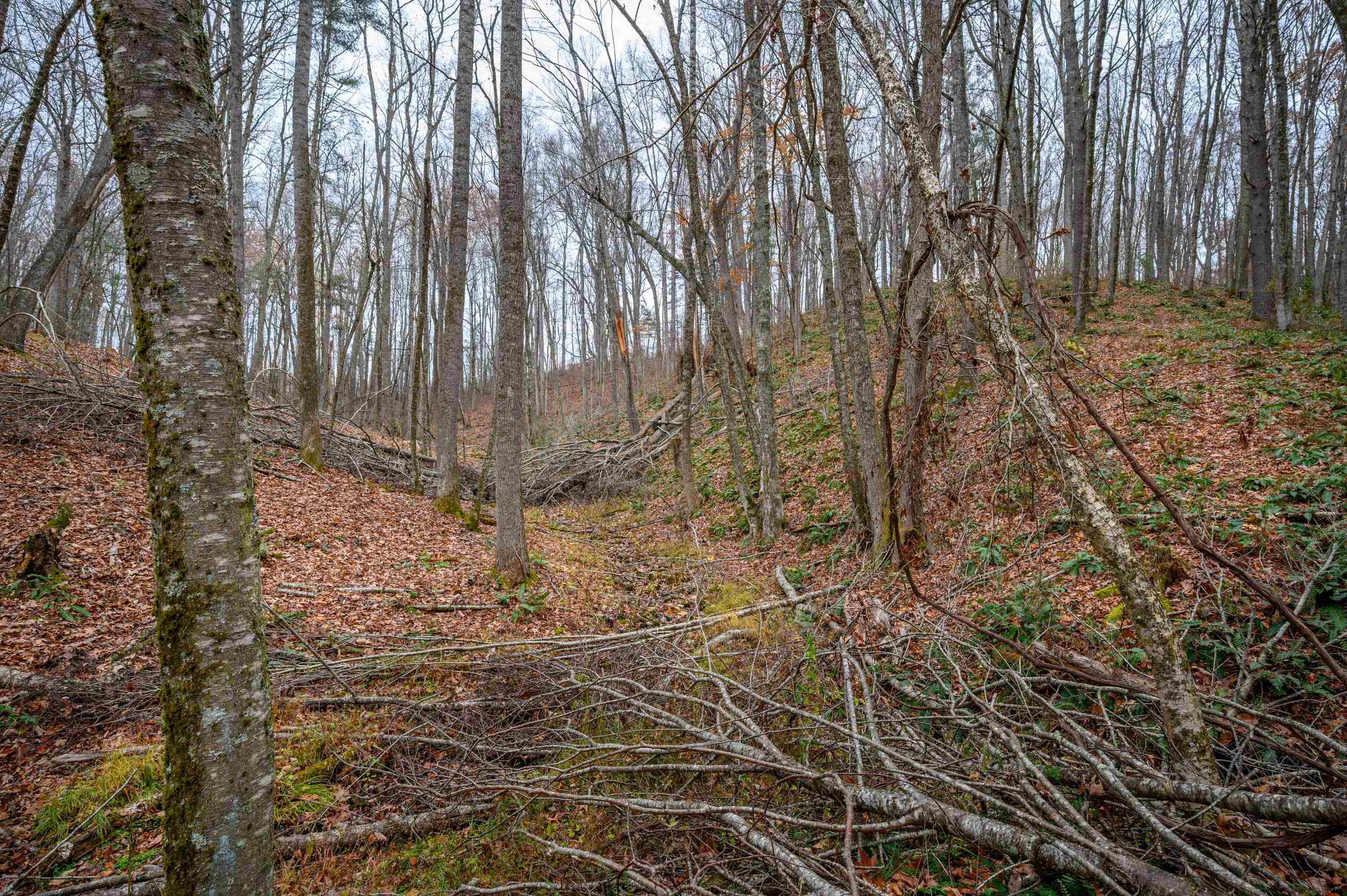 621 Wild Cherry Road NE Pilot VA 24138