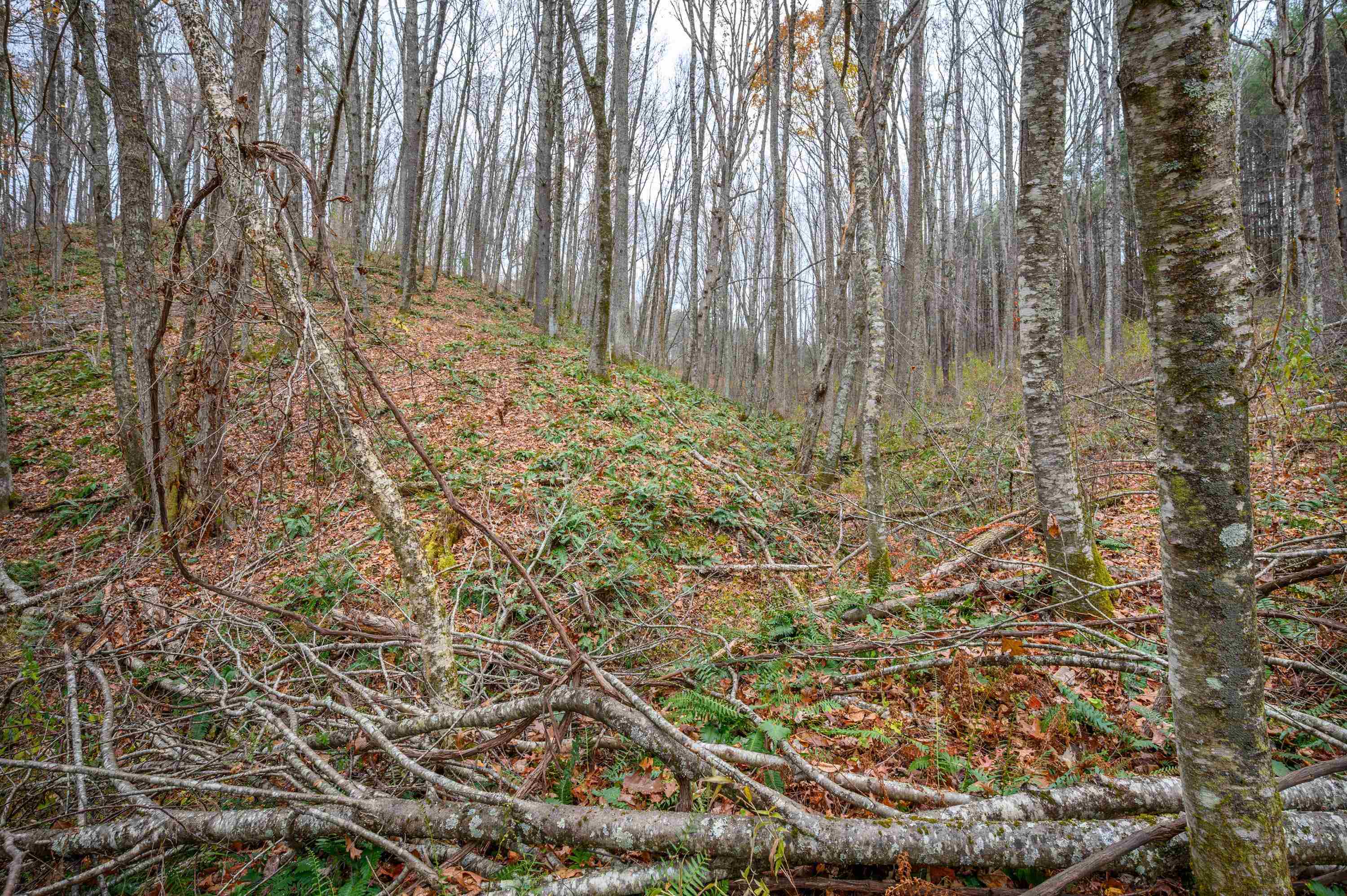 621 Wild Cherry Road NE Pilot VA 24138