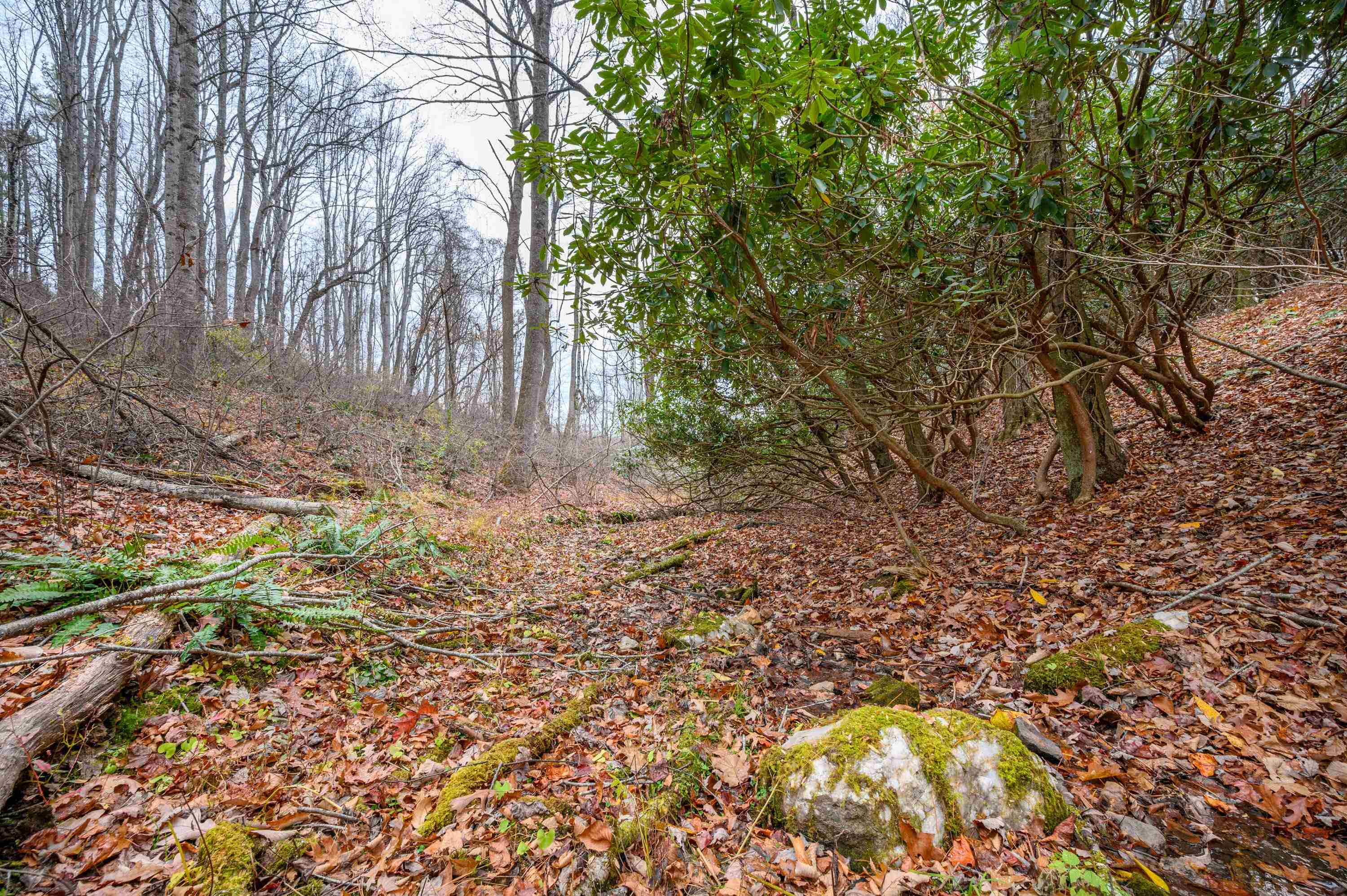 621 Wild Cherry Road NE Pilot VA 24138