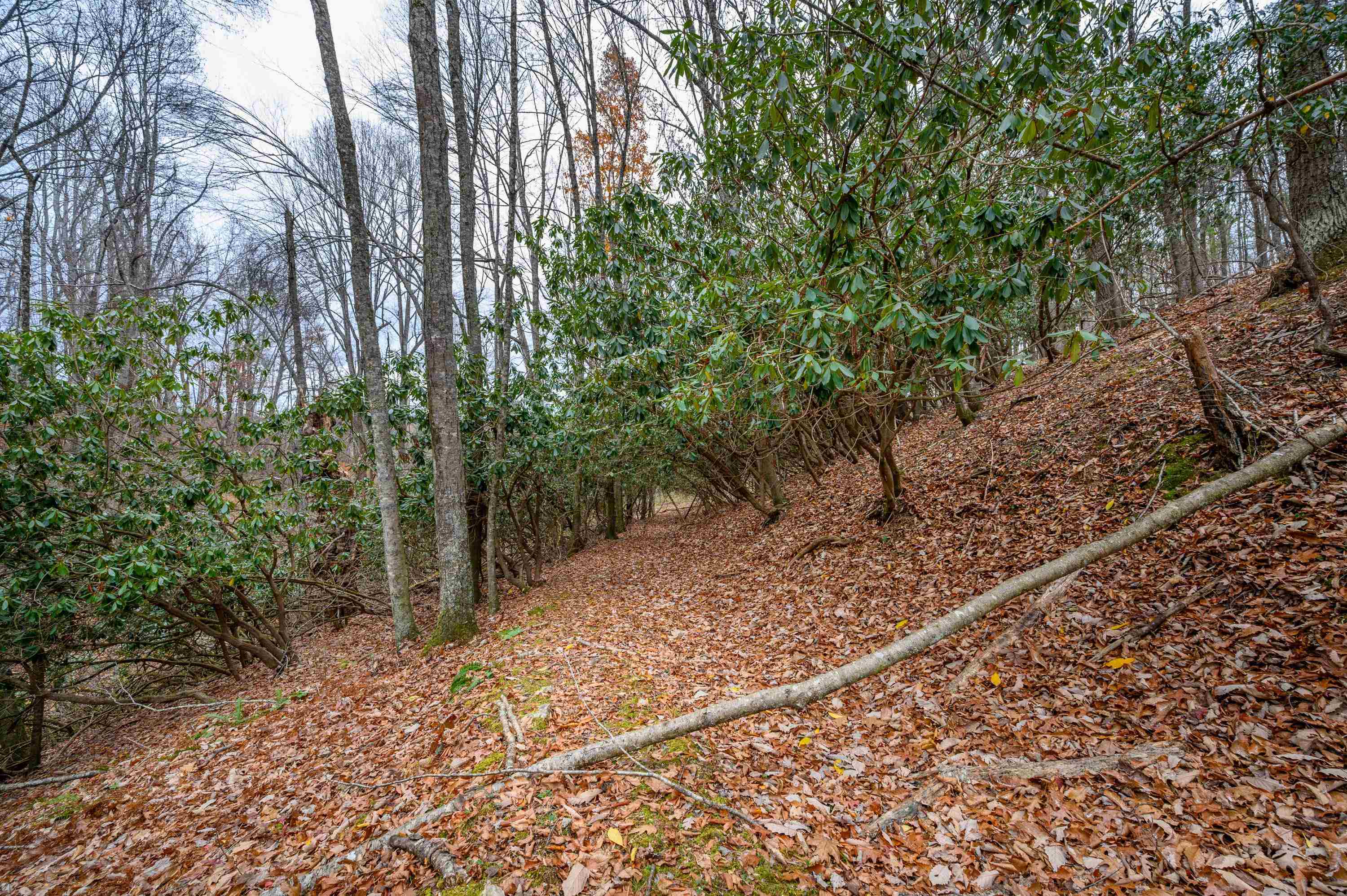 621 Wild Cherry Road NE Pilot VA 24138