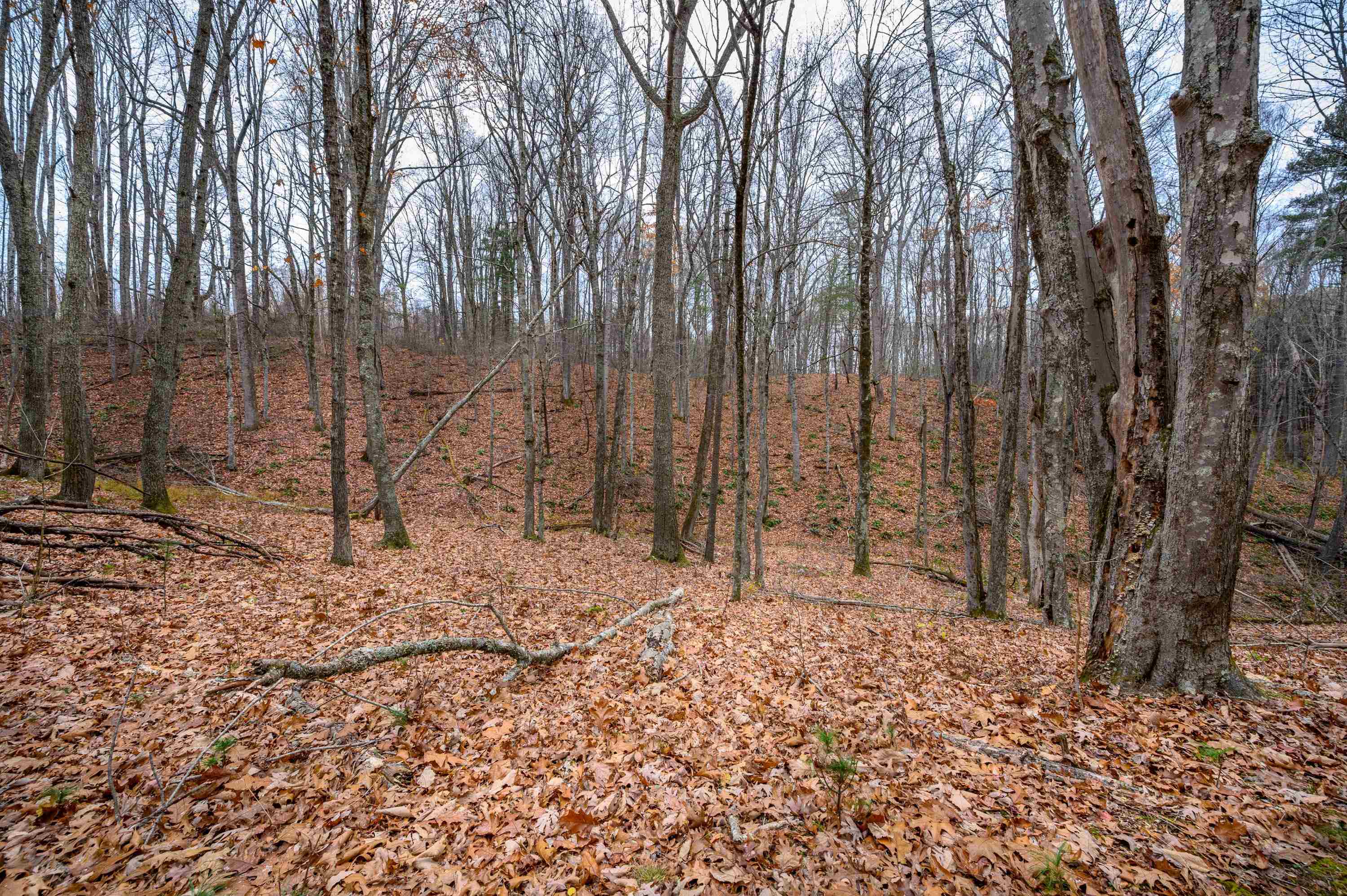 621 Wild Cherry Road NE Pilot VA 24138