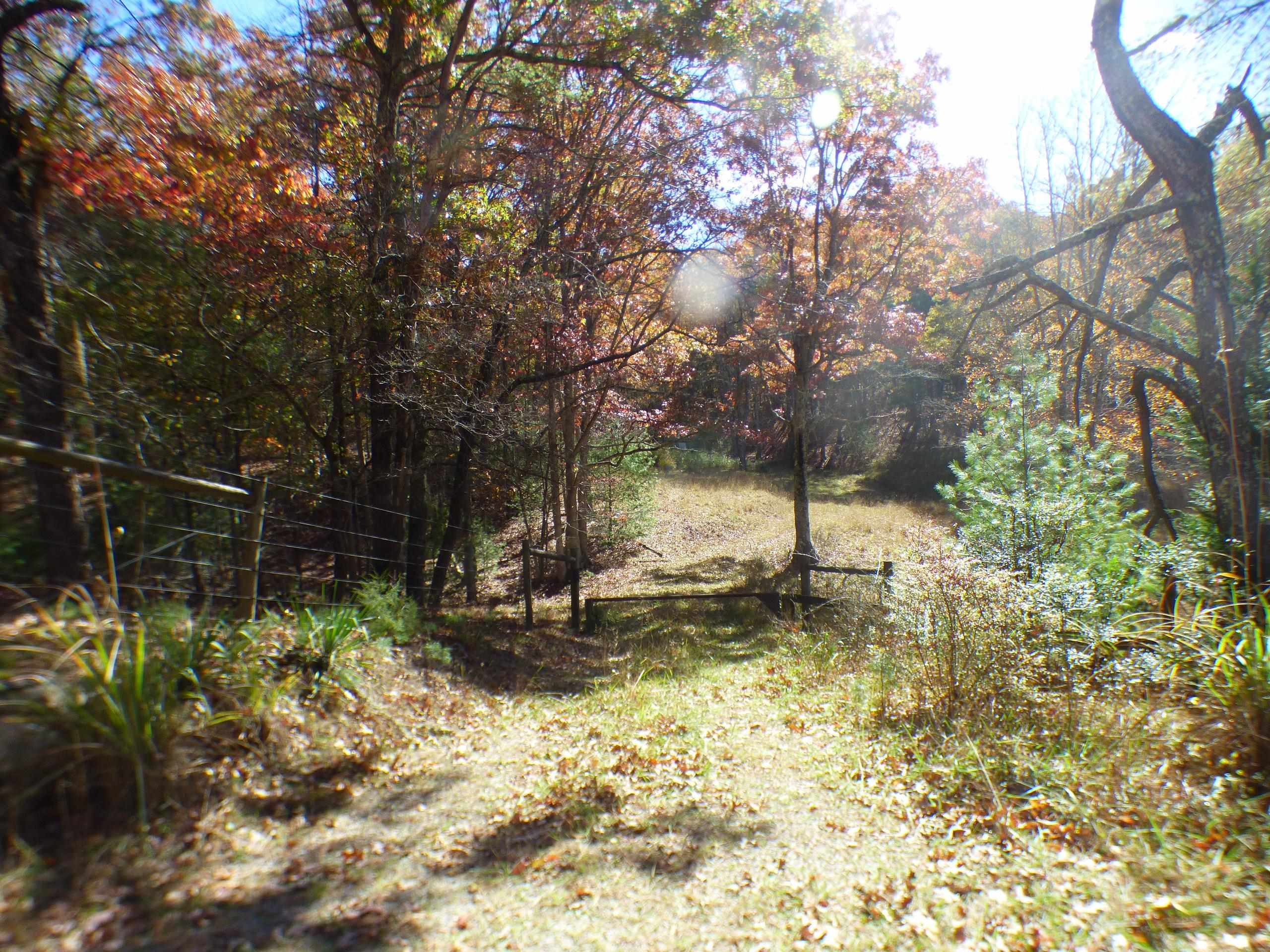 2501 Case Knife Ridge Road Pulaski VA 24301