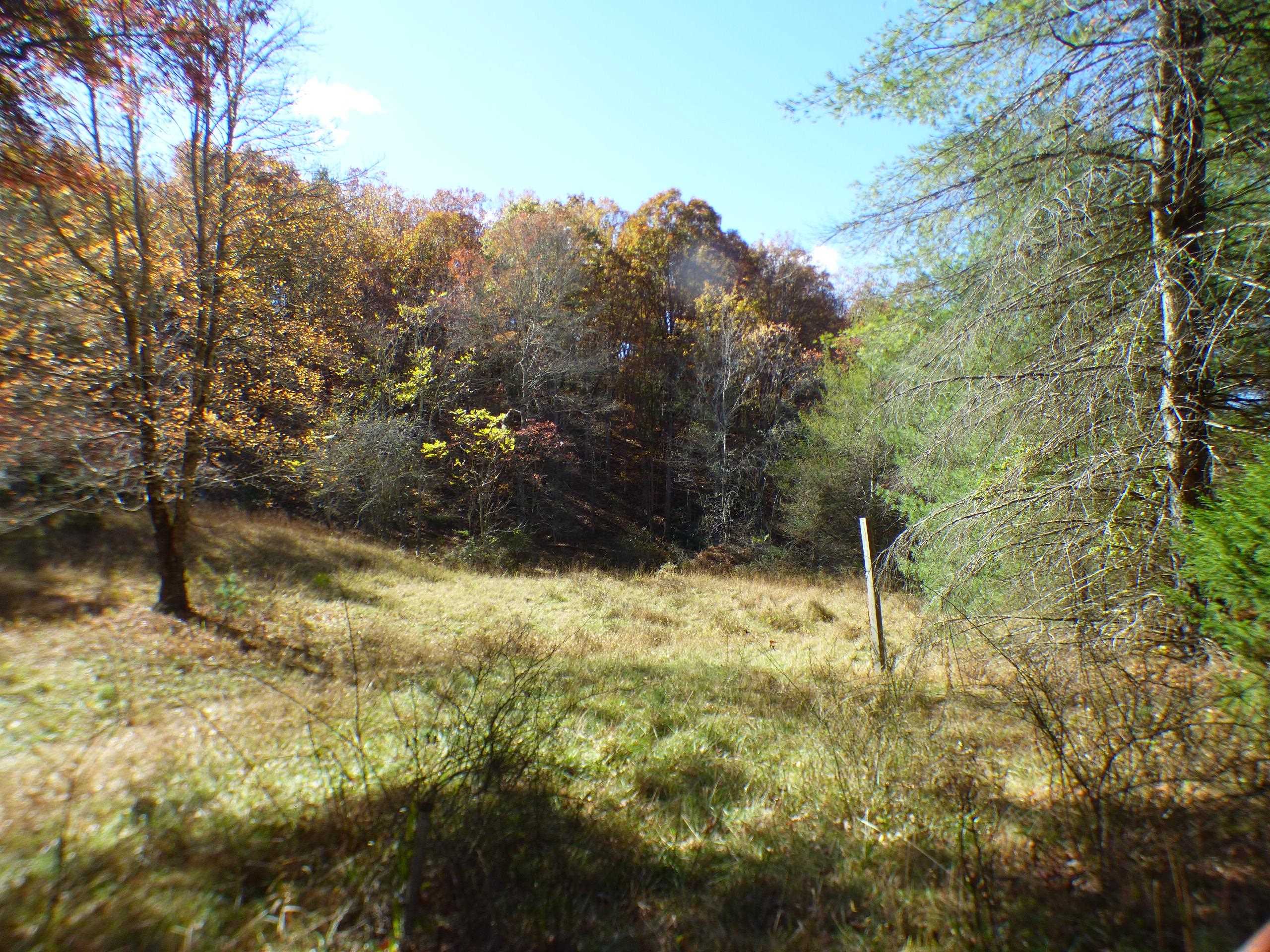 2501 Case Knife Ridge Road Pulaski VA 24301