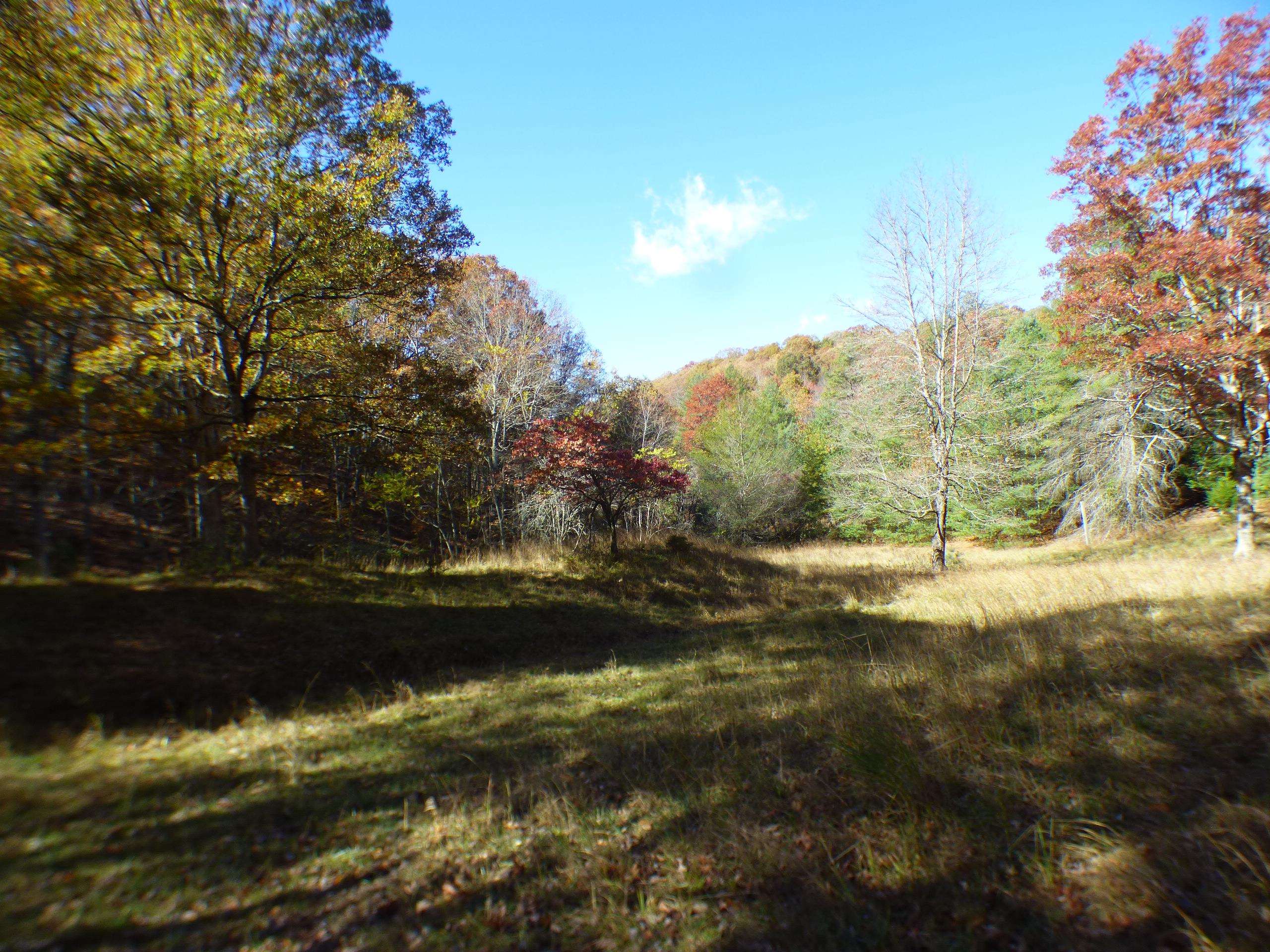 2501 Case Knife Ridge Road Pulaski VA 24301