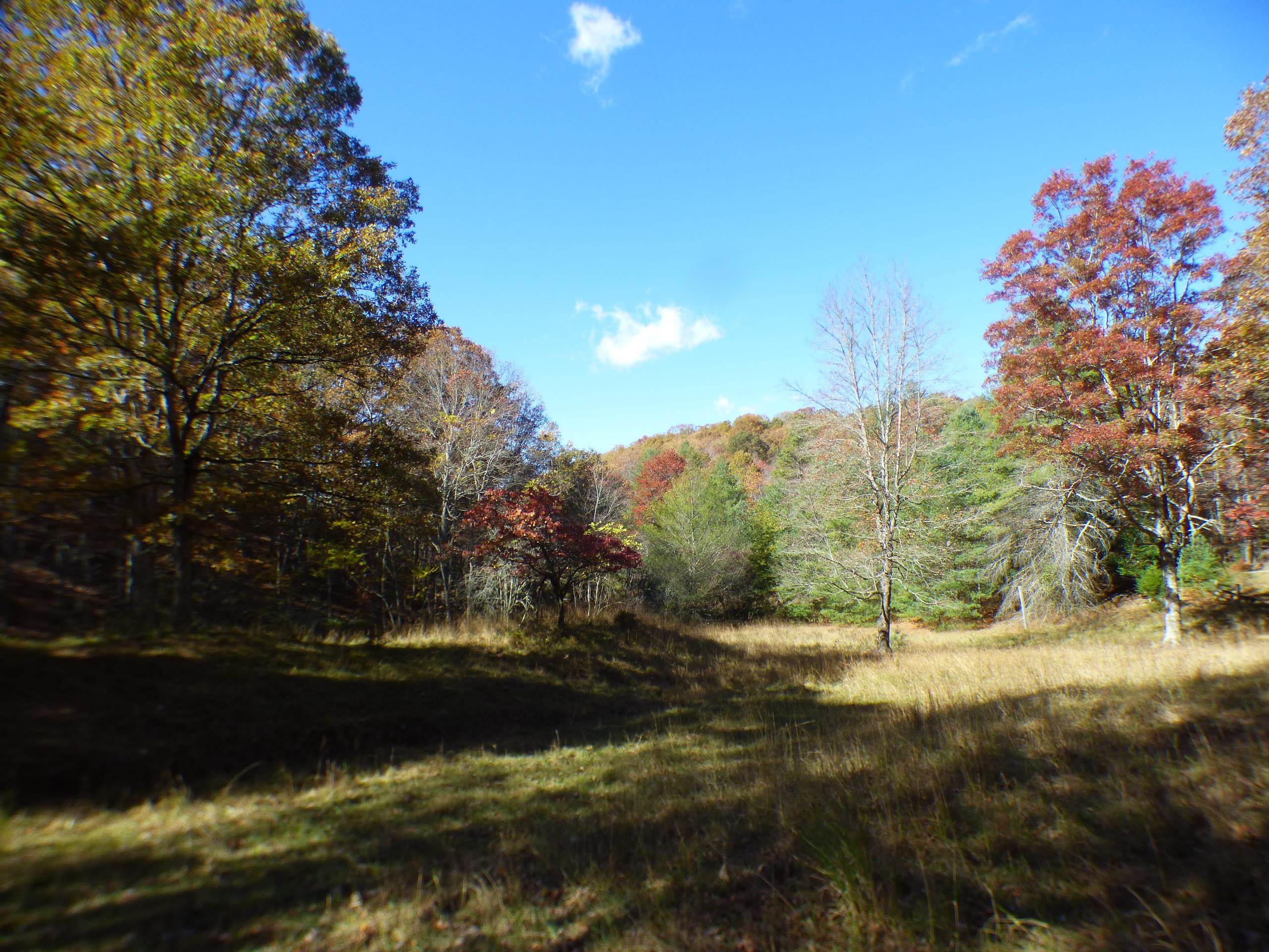 2501 Case Knife Ridge Road Pulaski VA 24301