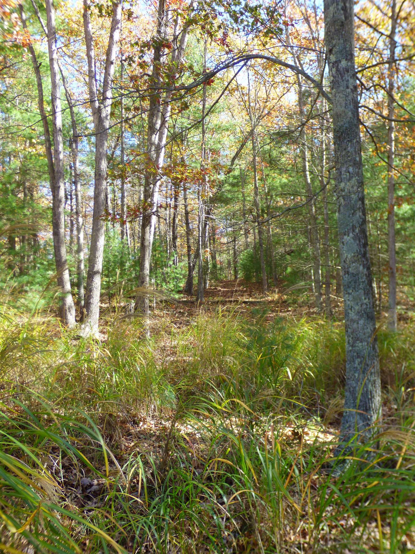 2501 Case Knife Ridge Road Pulaski VA 24301