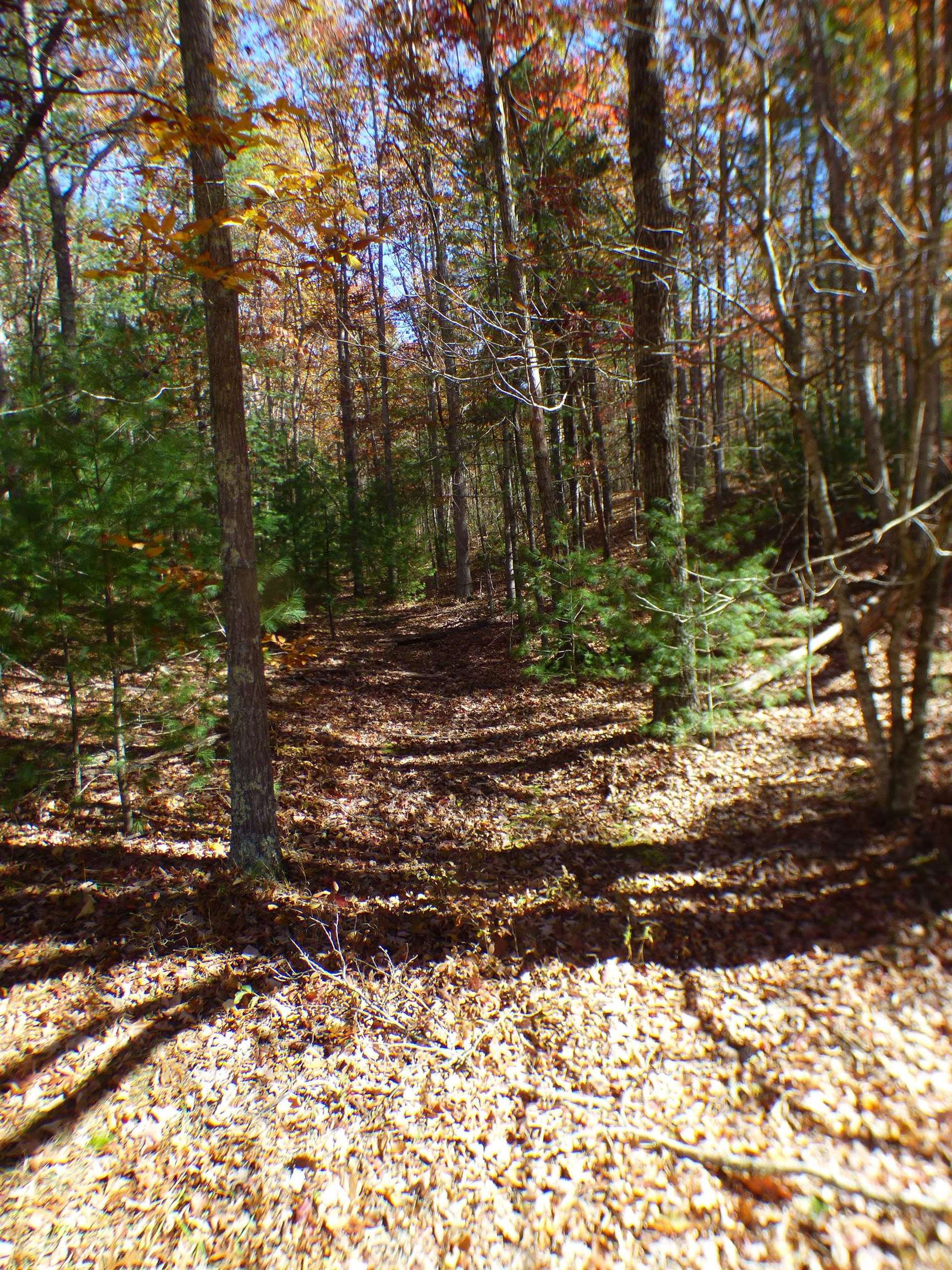 2501 Case Knife Ridge Road Pulaski VA 24301