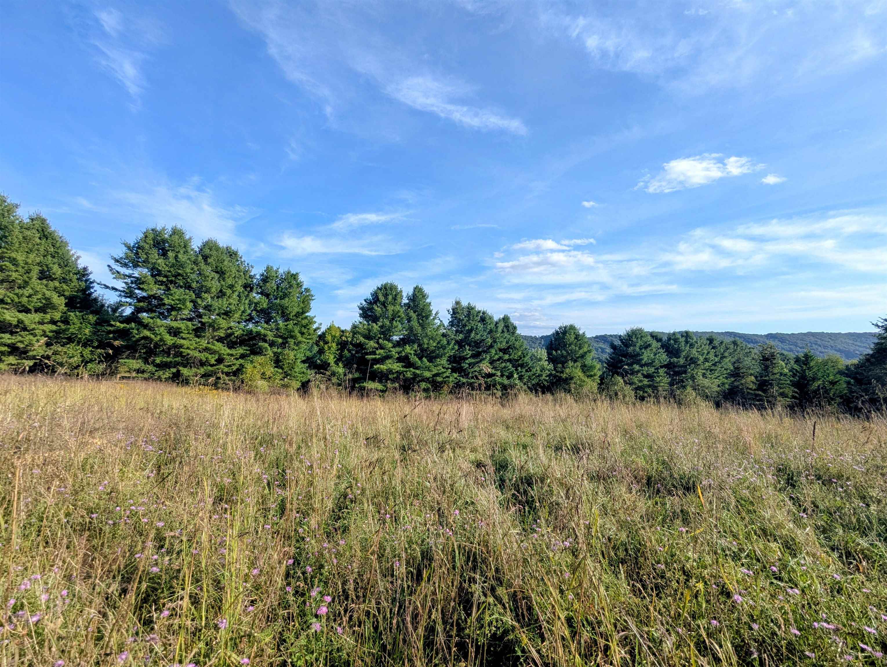 Tbd High Rock Hill Road Pilot VA 24138