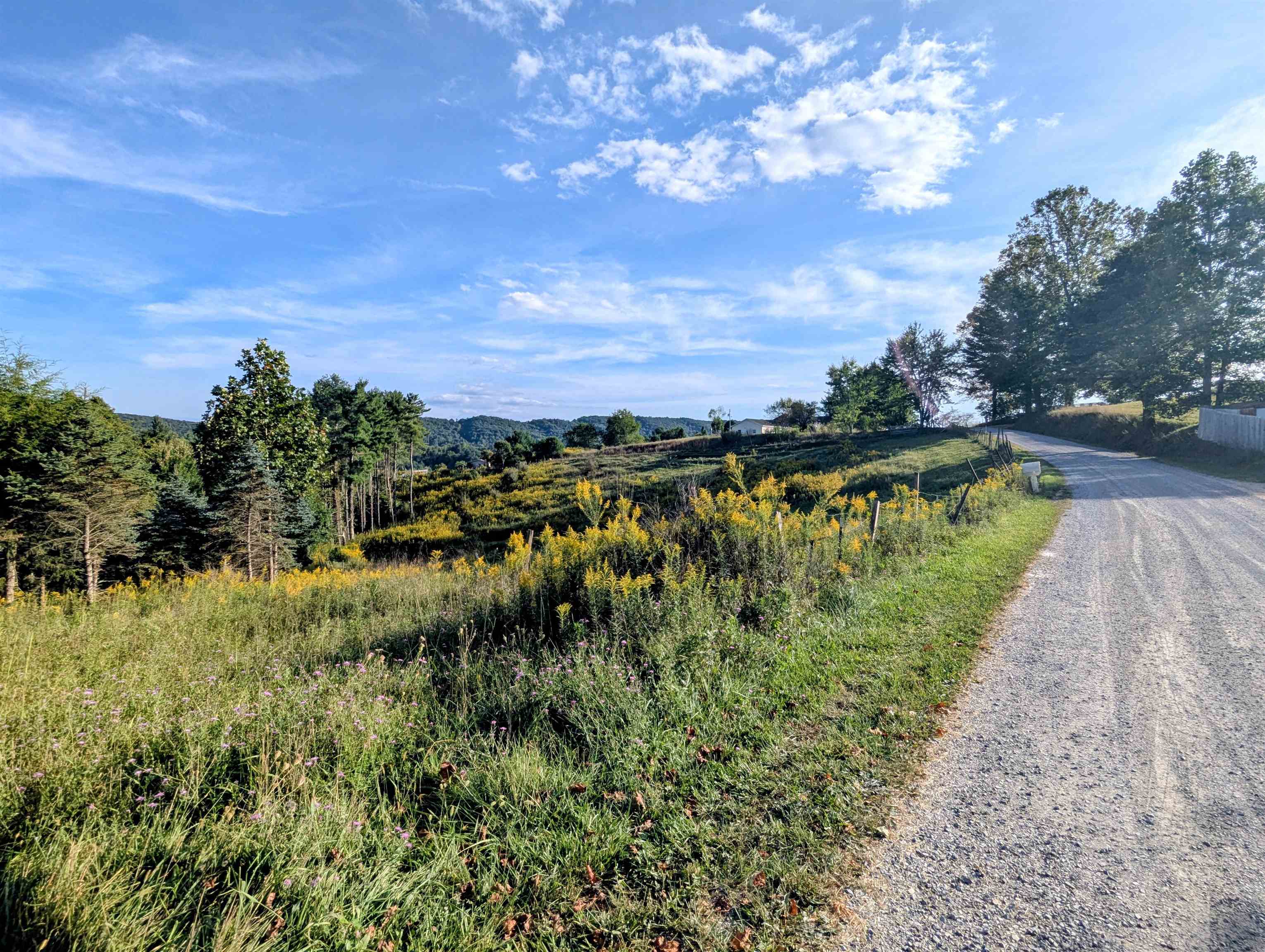 Tbd High Rock Hill Road Pilot VA 24138