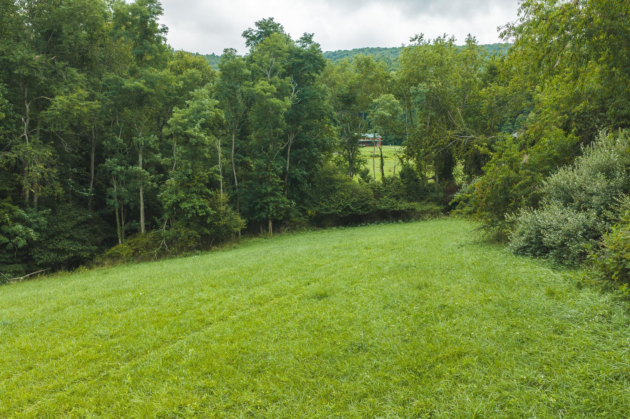 Lot 1 Ridgeview Road Floyd VA 24091