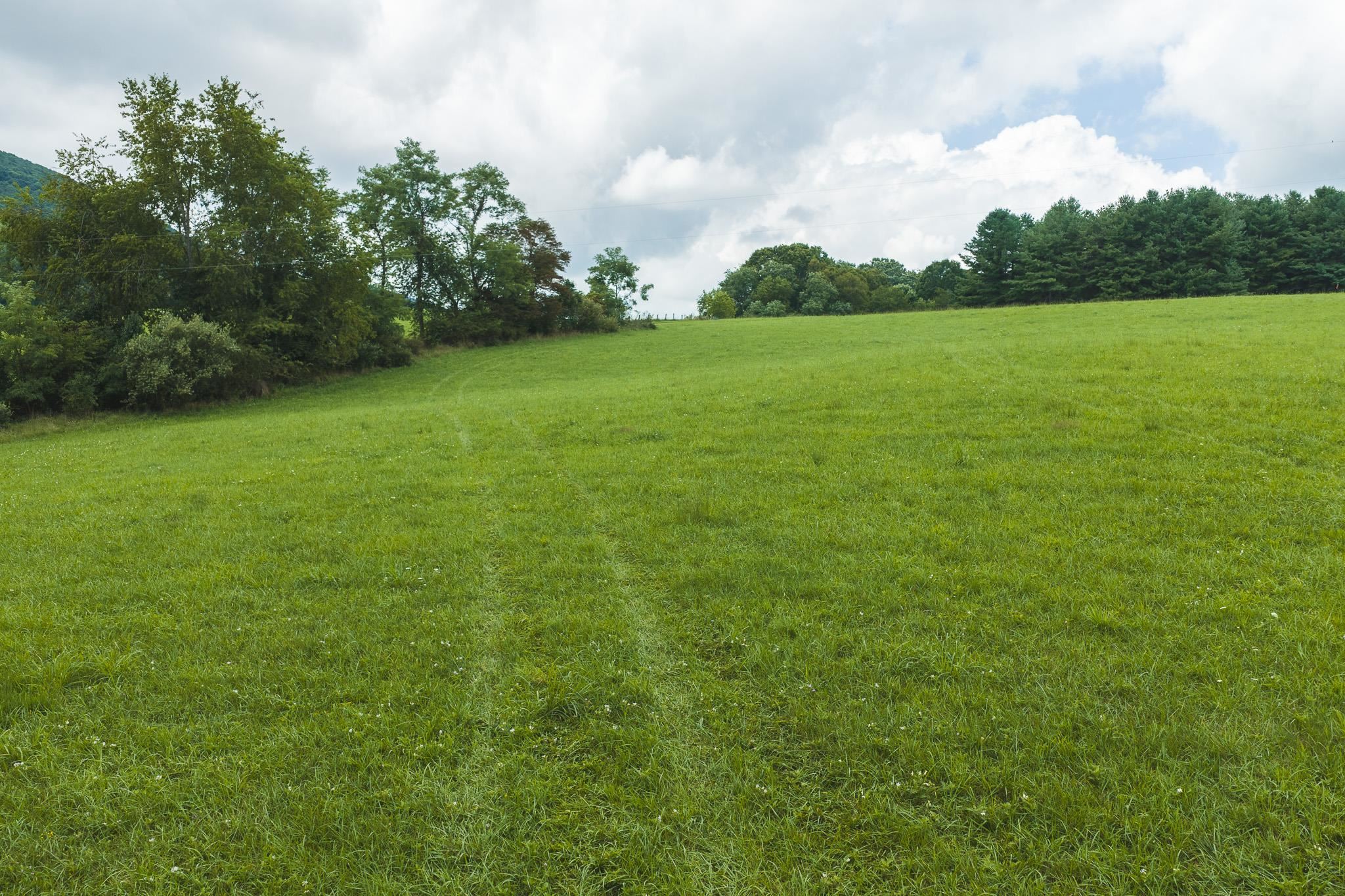 Lot 1 Ridgeview Road Floyd VA 24091