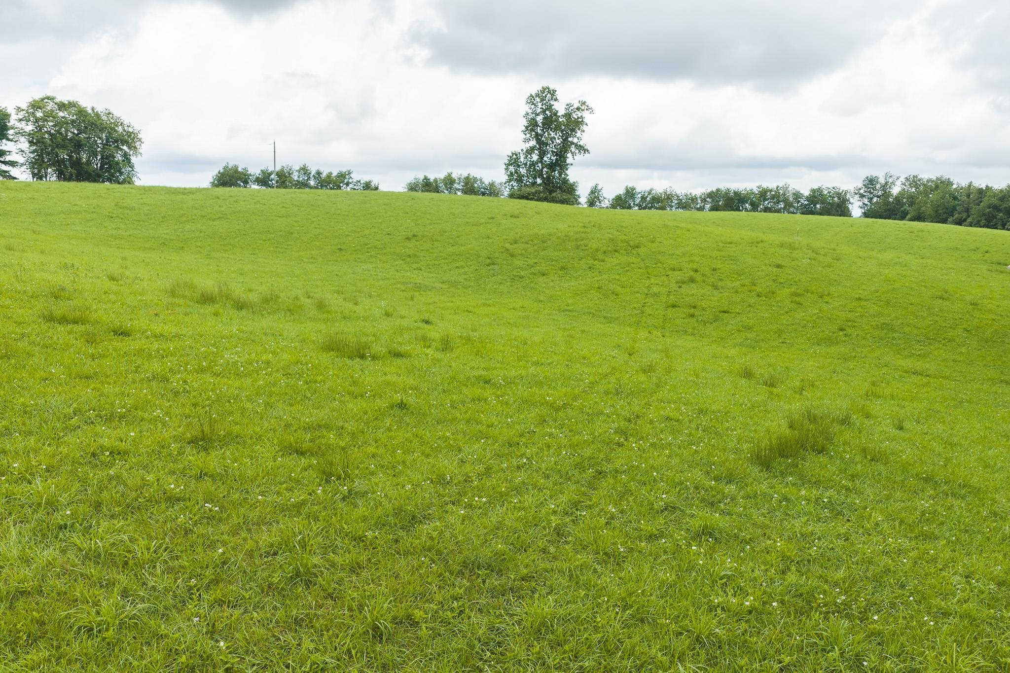 Lot 1 Ridgeview Road Floyd VA 24091