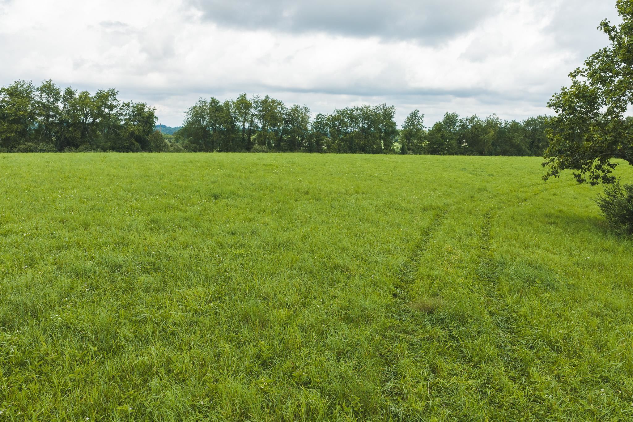 Lot 1 Ridgeview Road Floyd VA 24091