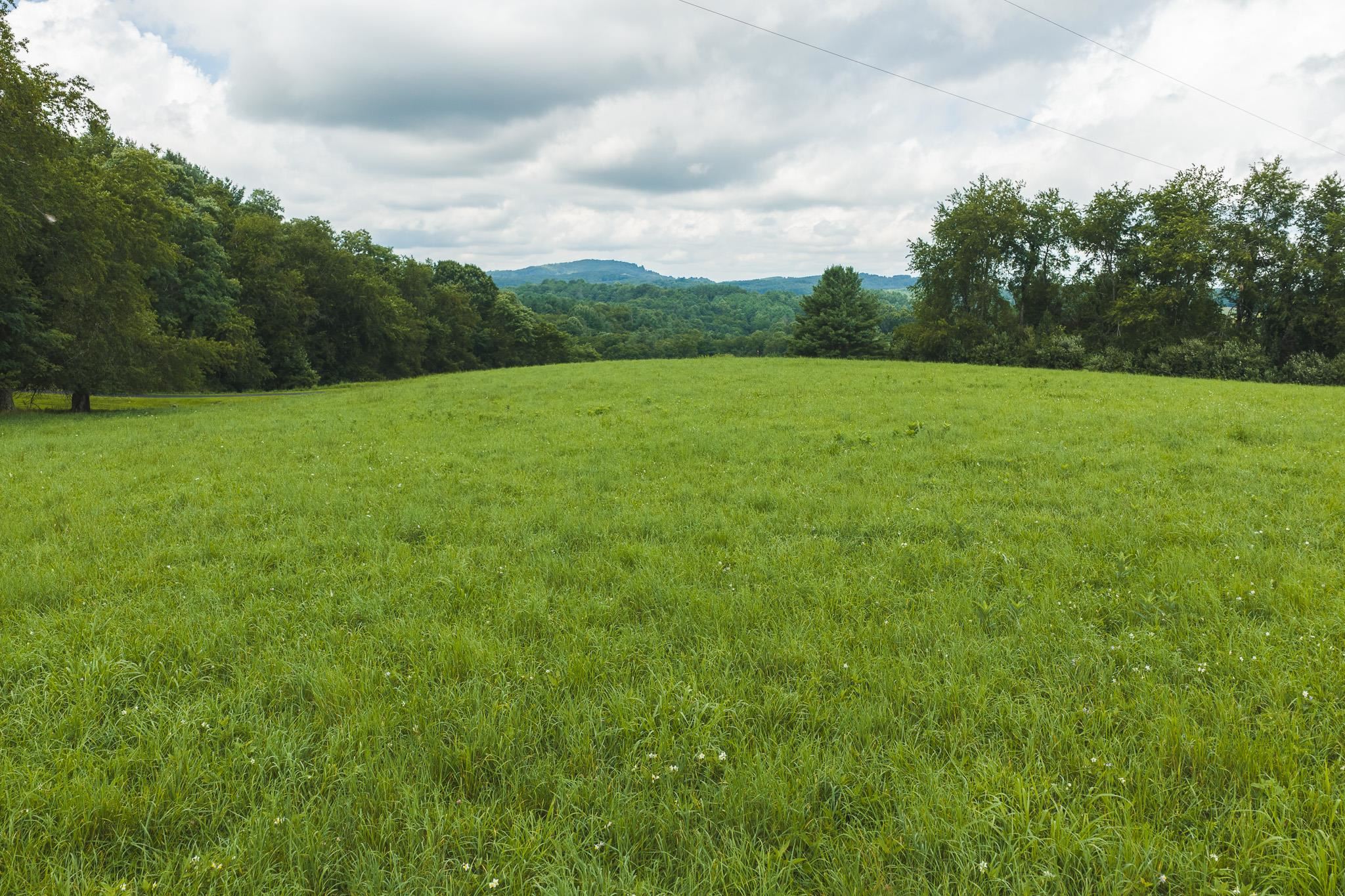 Lot 1 Ridgeview Road Floyd VA 24091