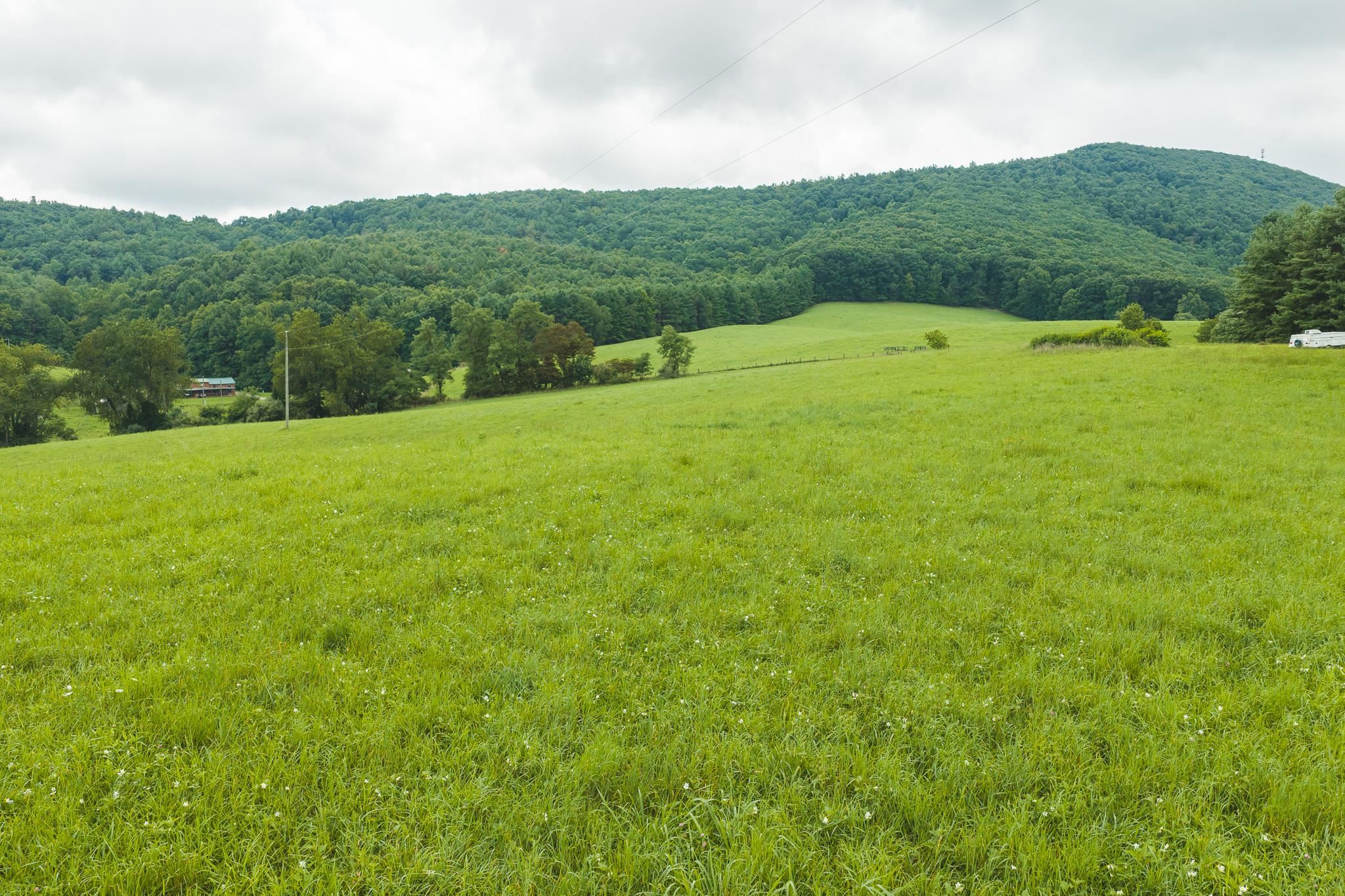 Lot 1 Ridgeview Road Floyd VA 24091
