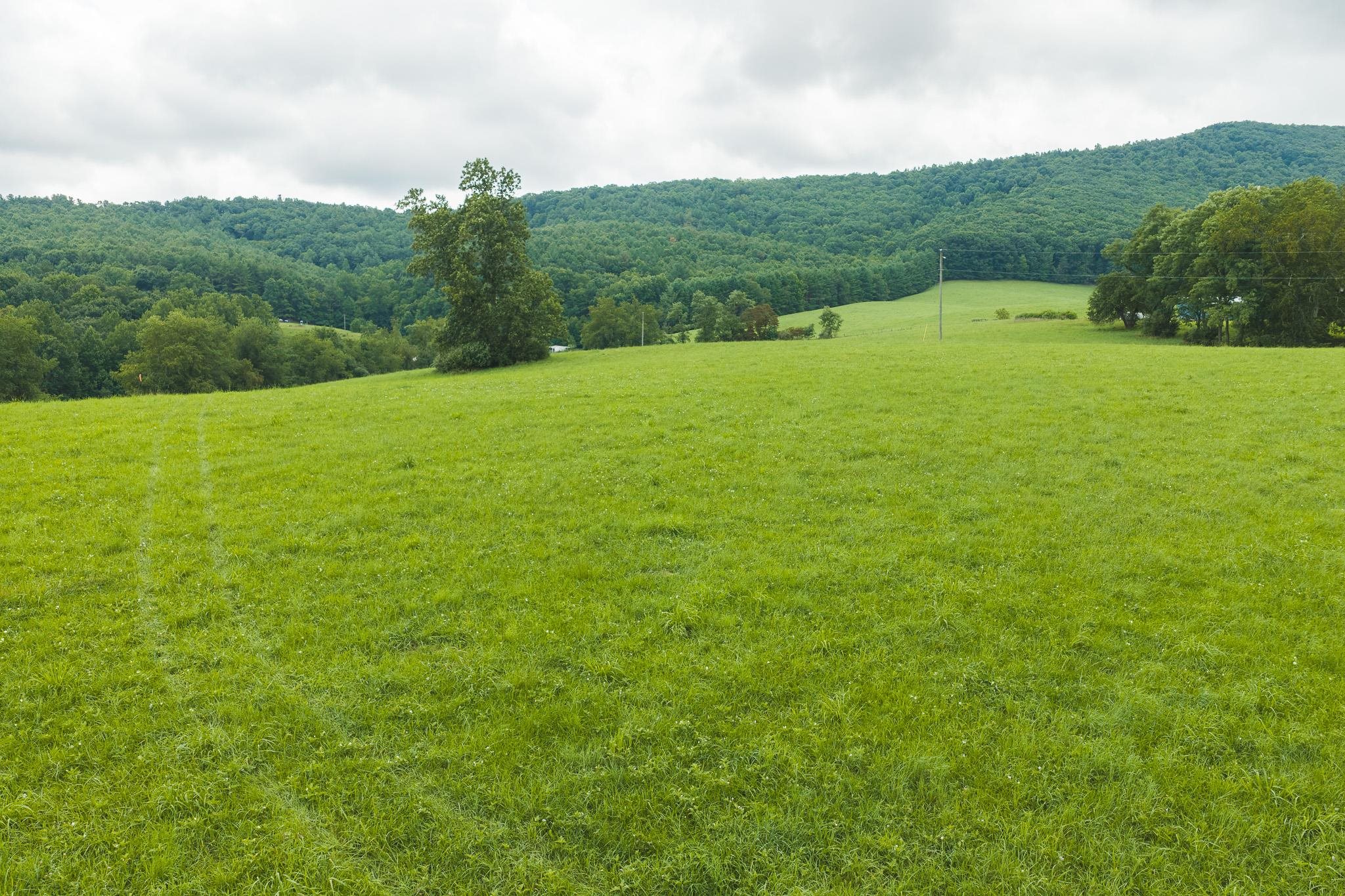 Lot 1 Ridgeview Road Floyd VA 24091