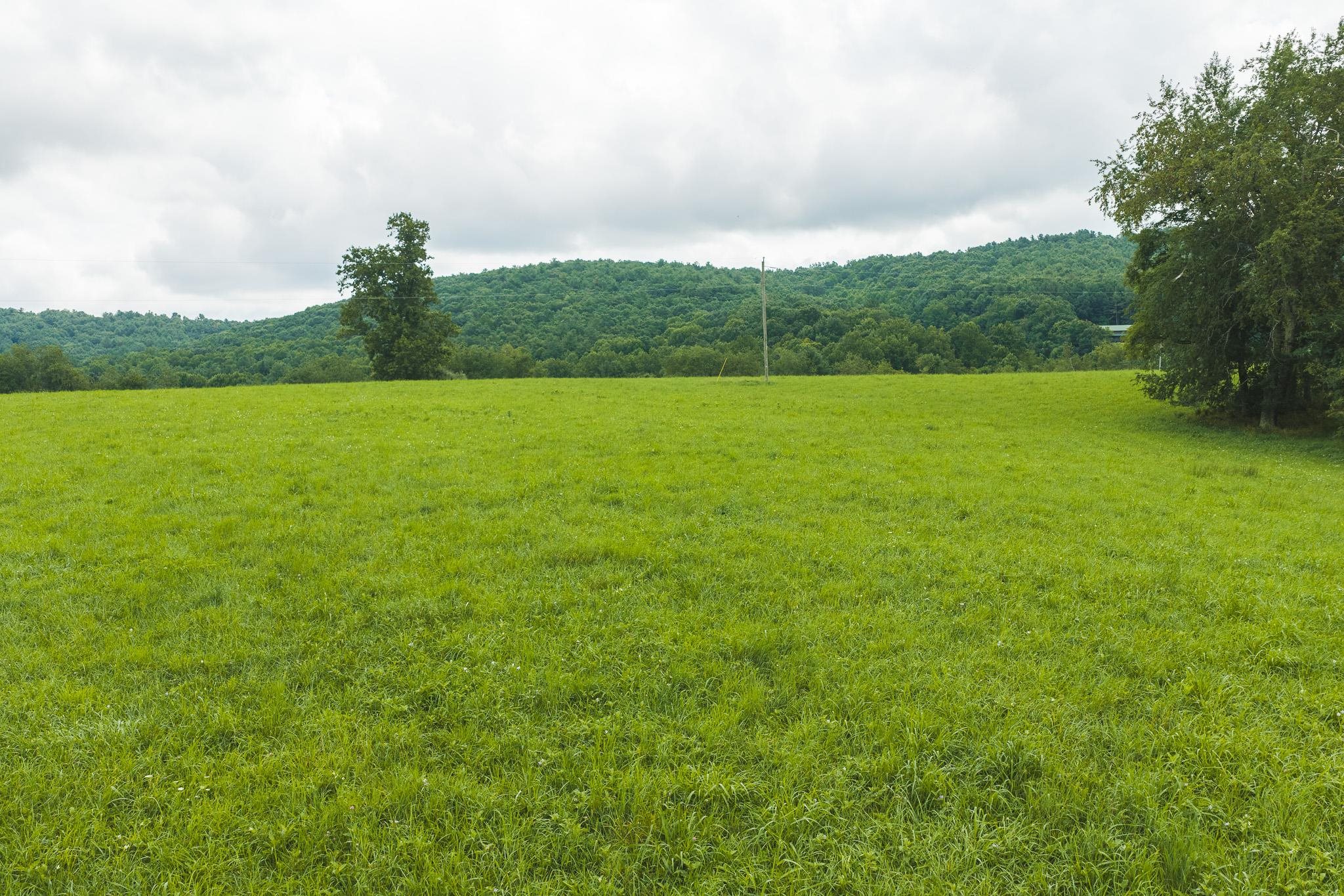 Lot 1 Ridgeview Road Floyd VA 24091