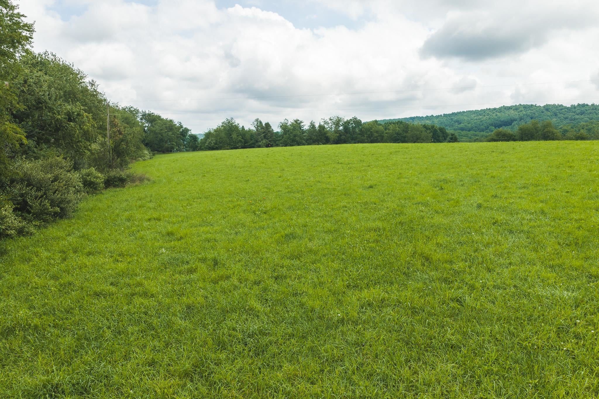 Lot 1 Ridgeview Road Floyd VA 24091