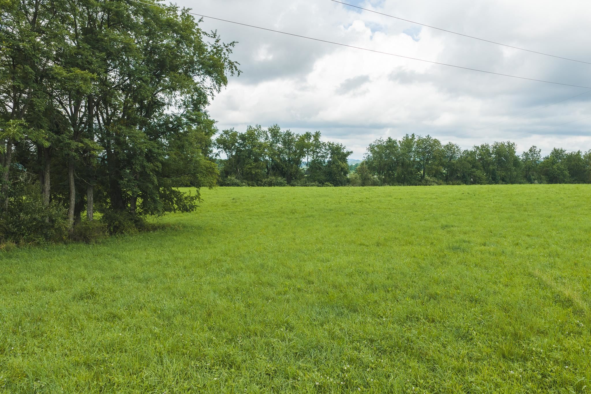 Lot 1 Ridgeview Road Floyd VA 24091