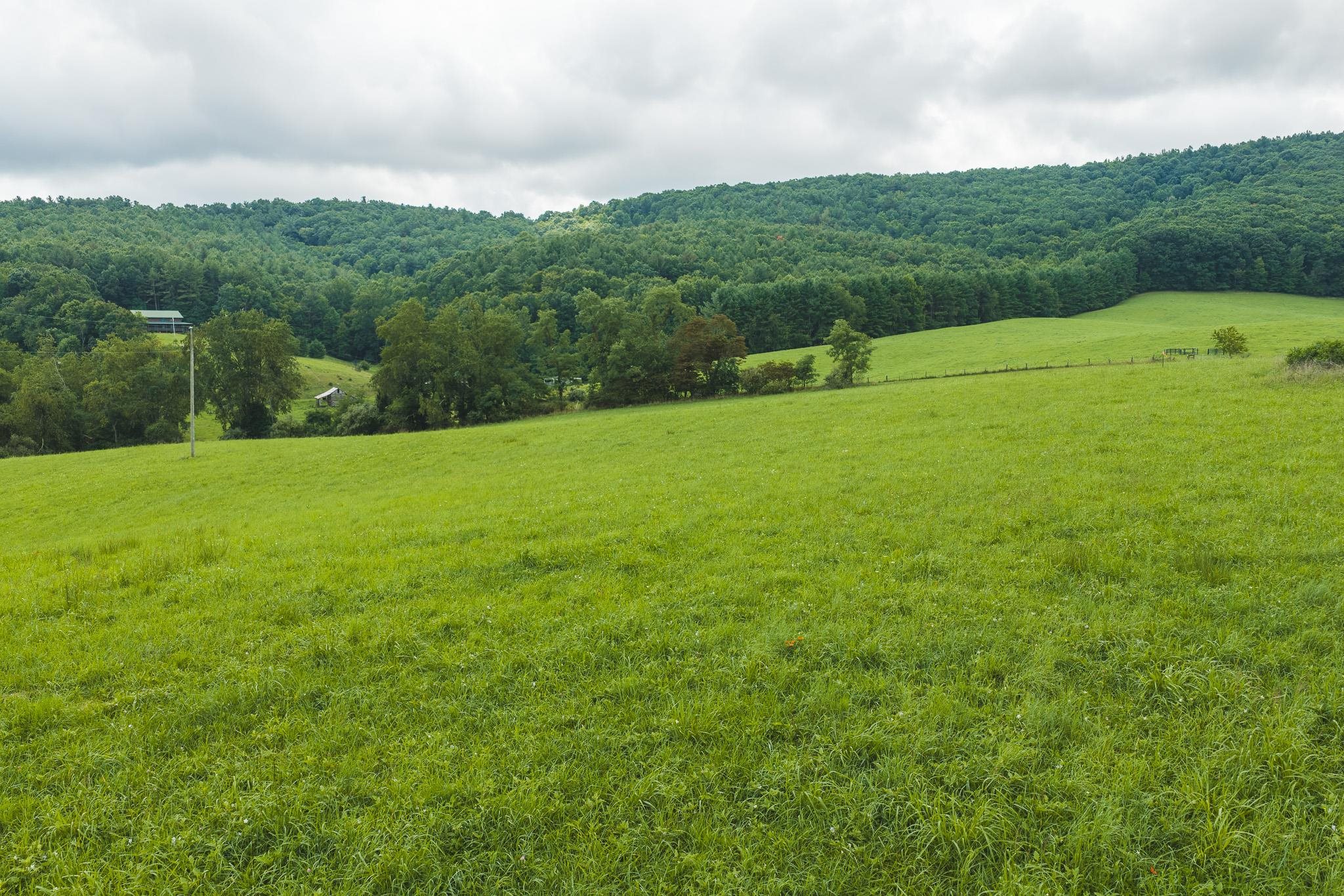 Lot 1 Ridgeview Road Floyd VA 24091