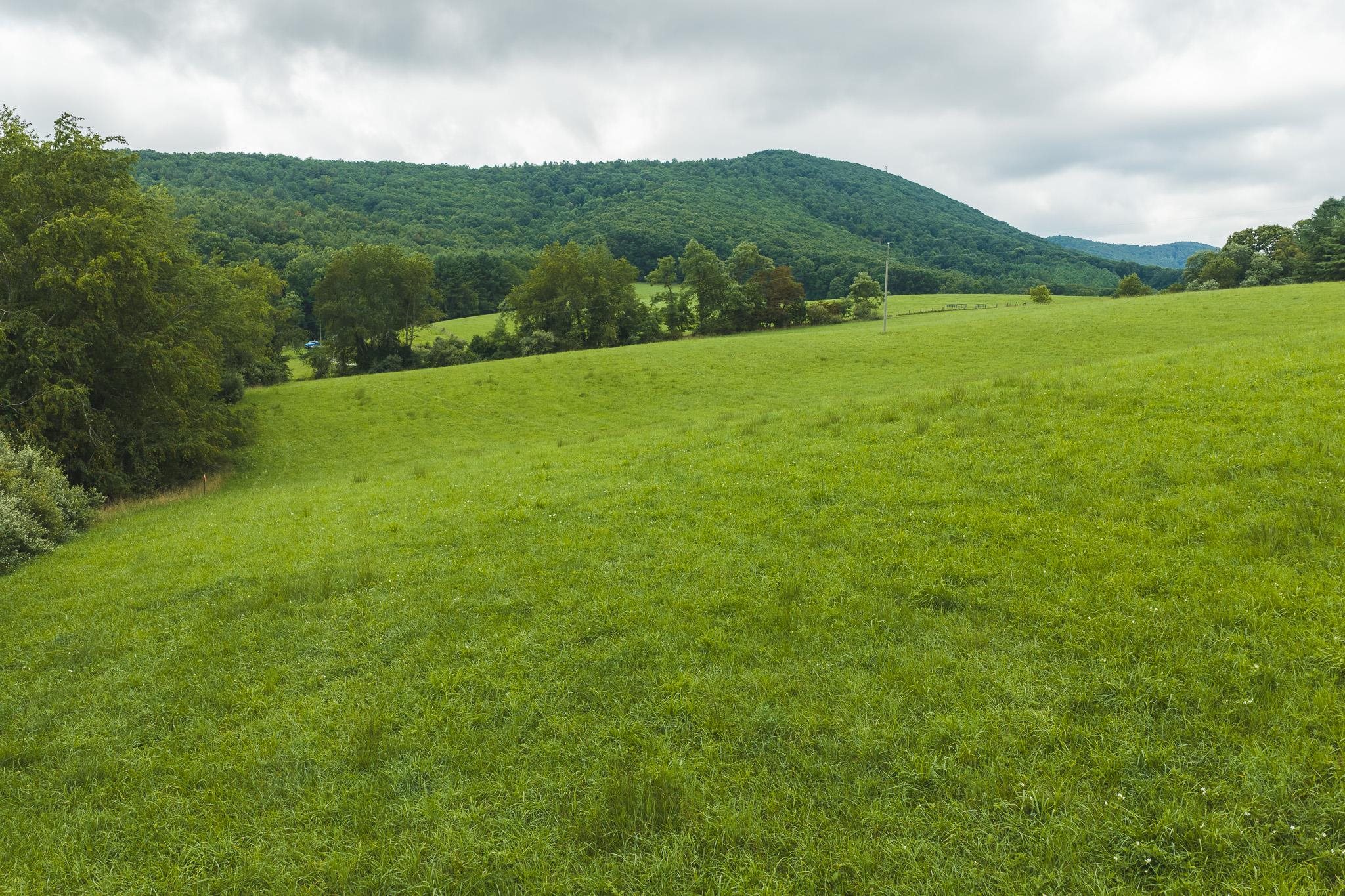 Lot 1 Ridgeview Road Floyd VA 24091