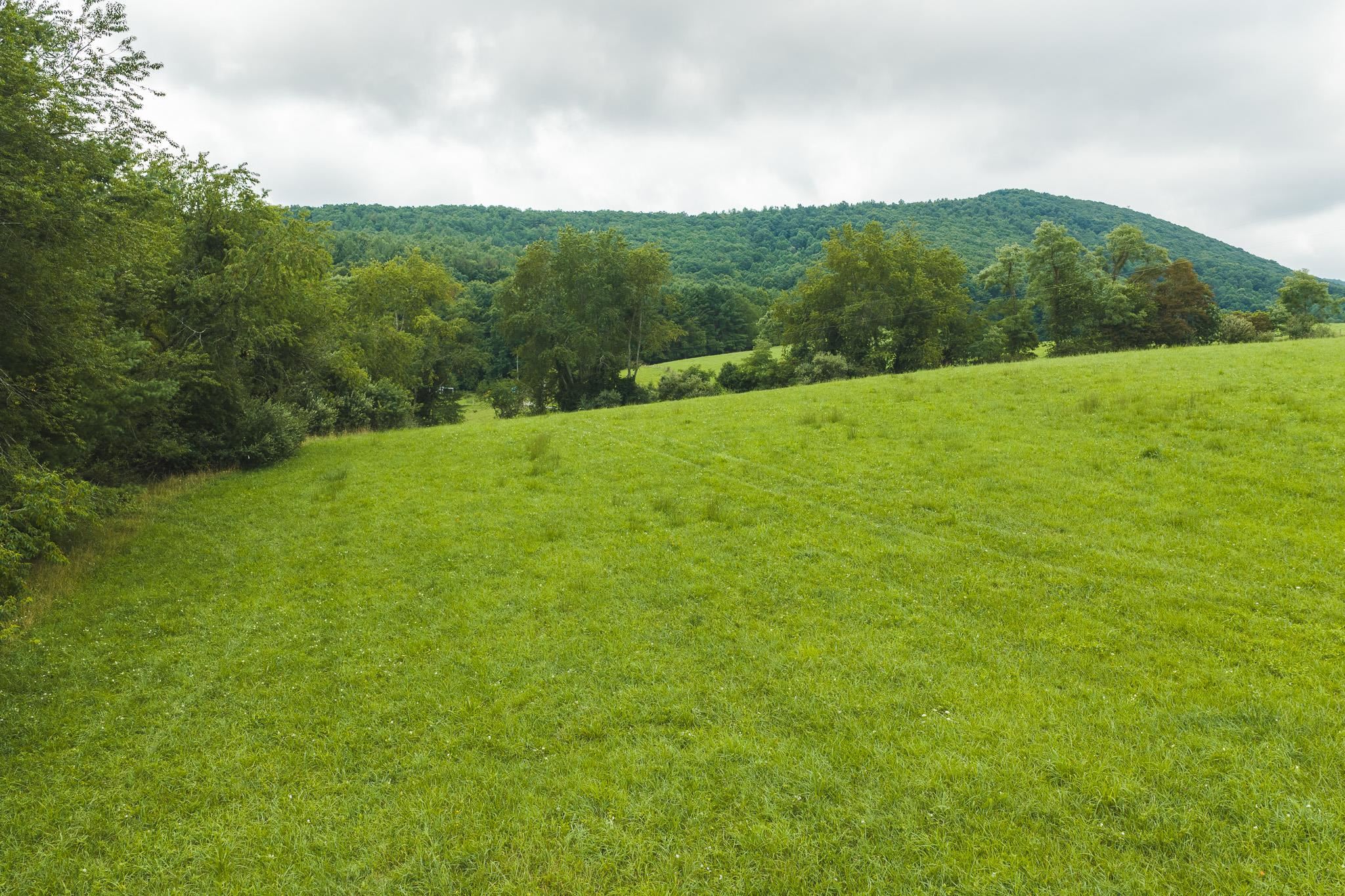 Lot 1 Ridgeview Road Floyd VA 24091