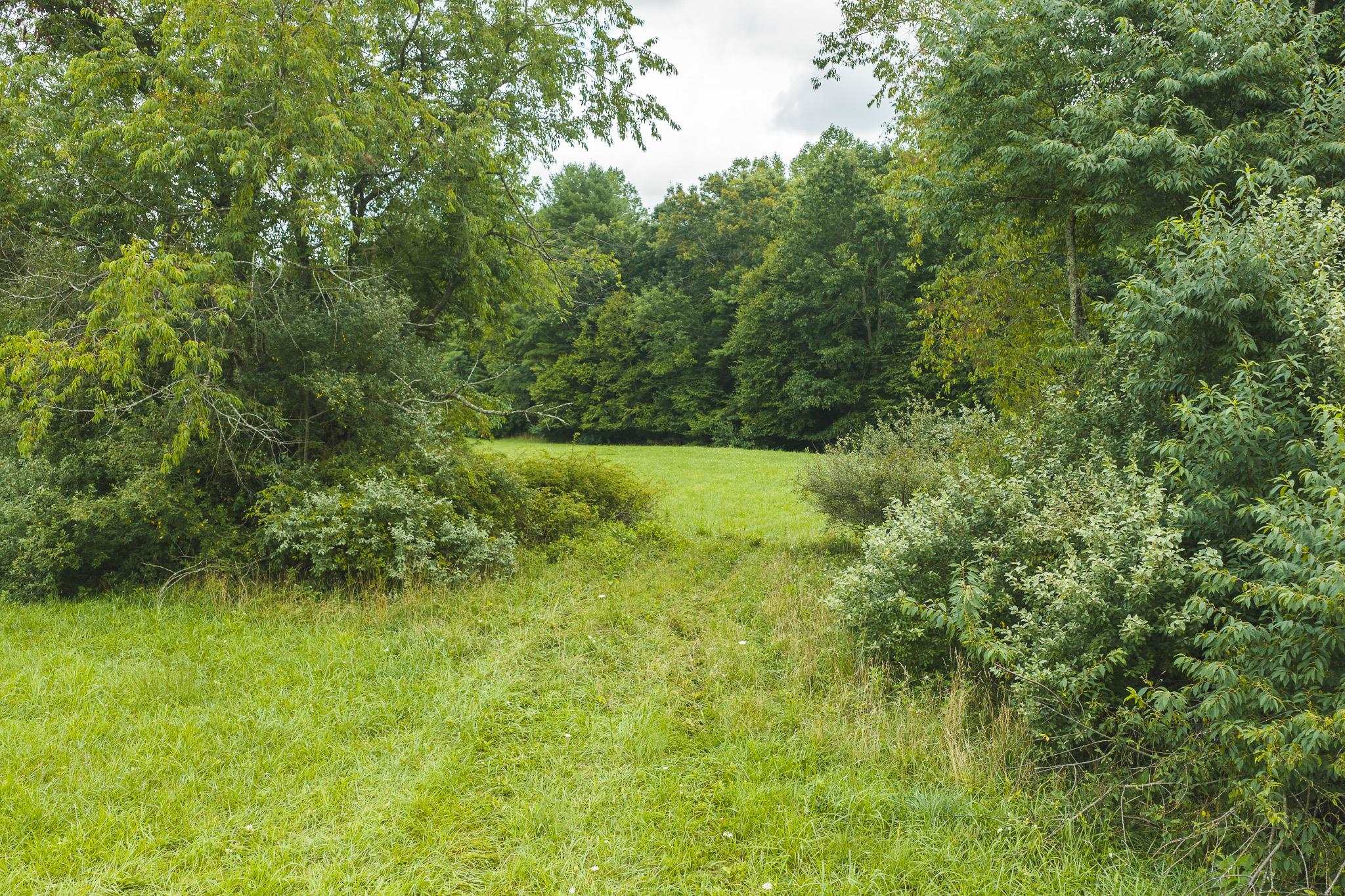 Lot 1 Ridgeview Road Floyd VA 24091