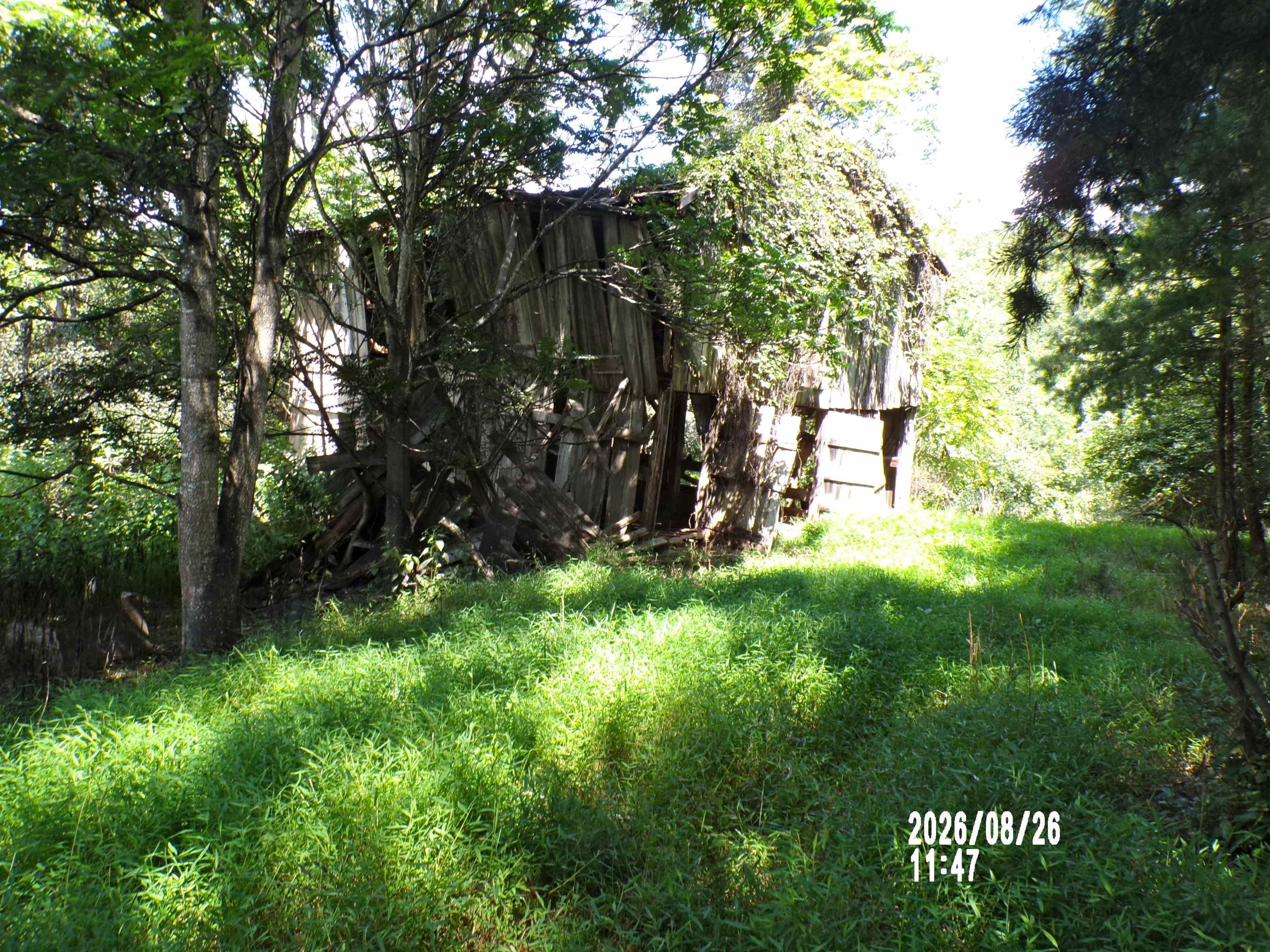 Tbd Clapboard Hollow Road Hiwassee VA 24347