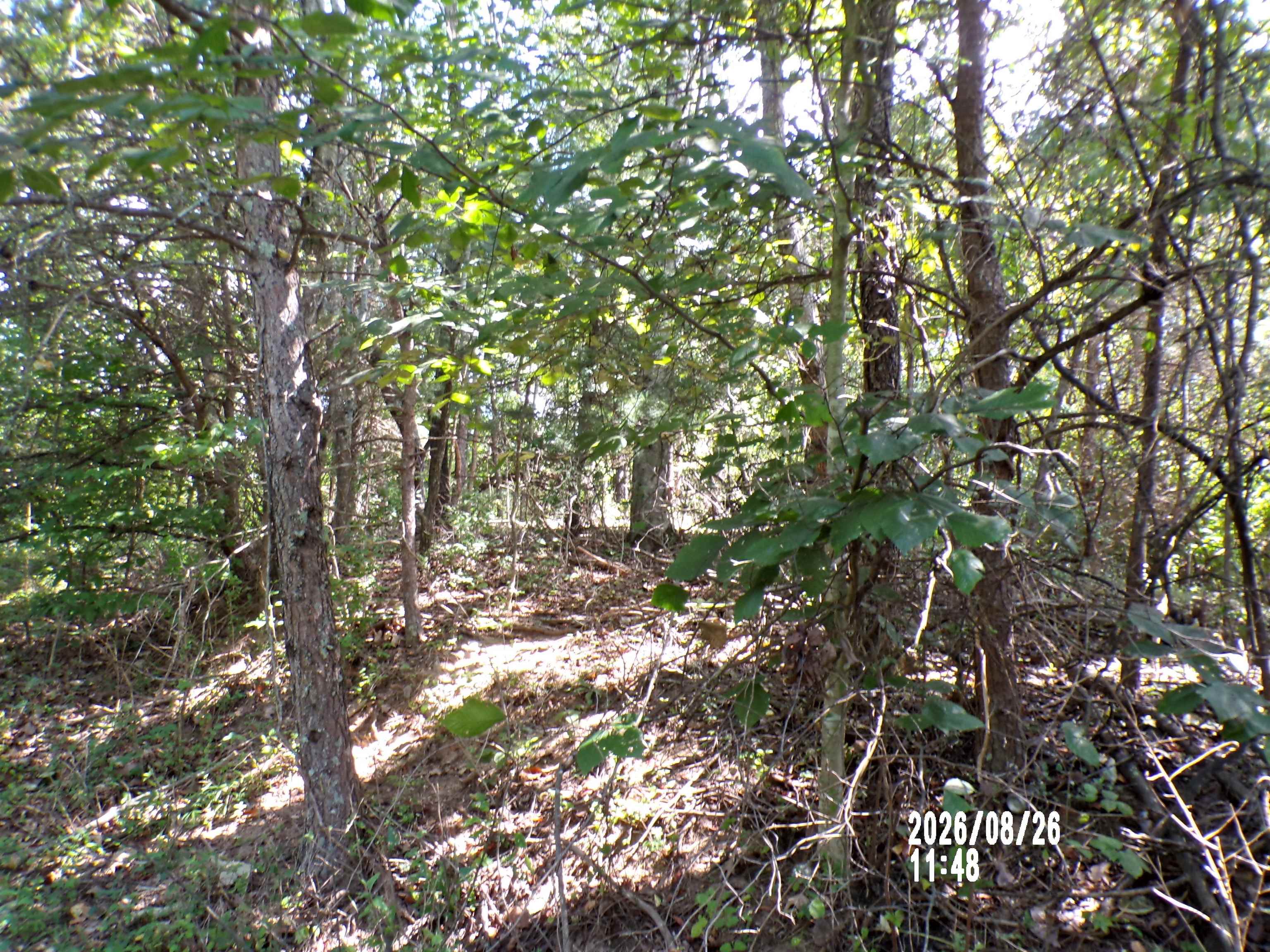 Tbd Clapboard Hollow Road Hiwassee VA 24347