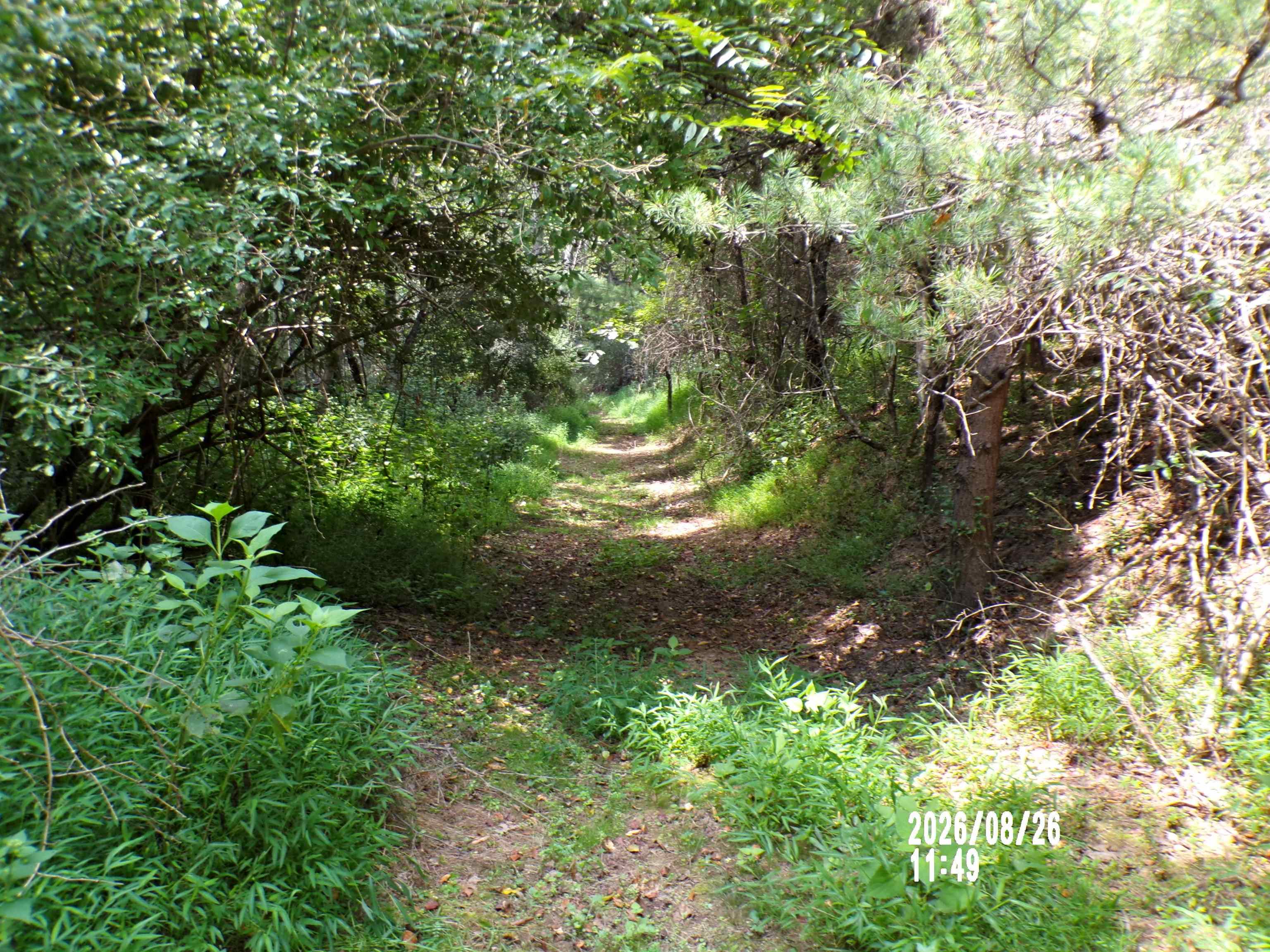 Tbd Clapboard Hollow Road Hiwassee VA 24347