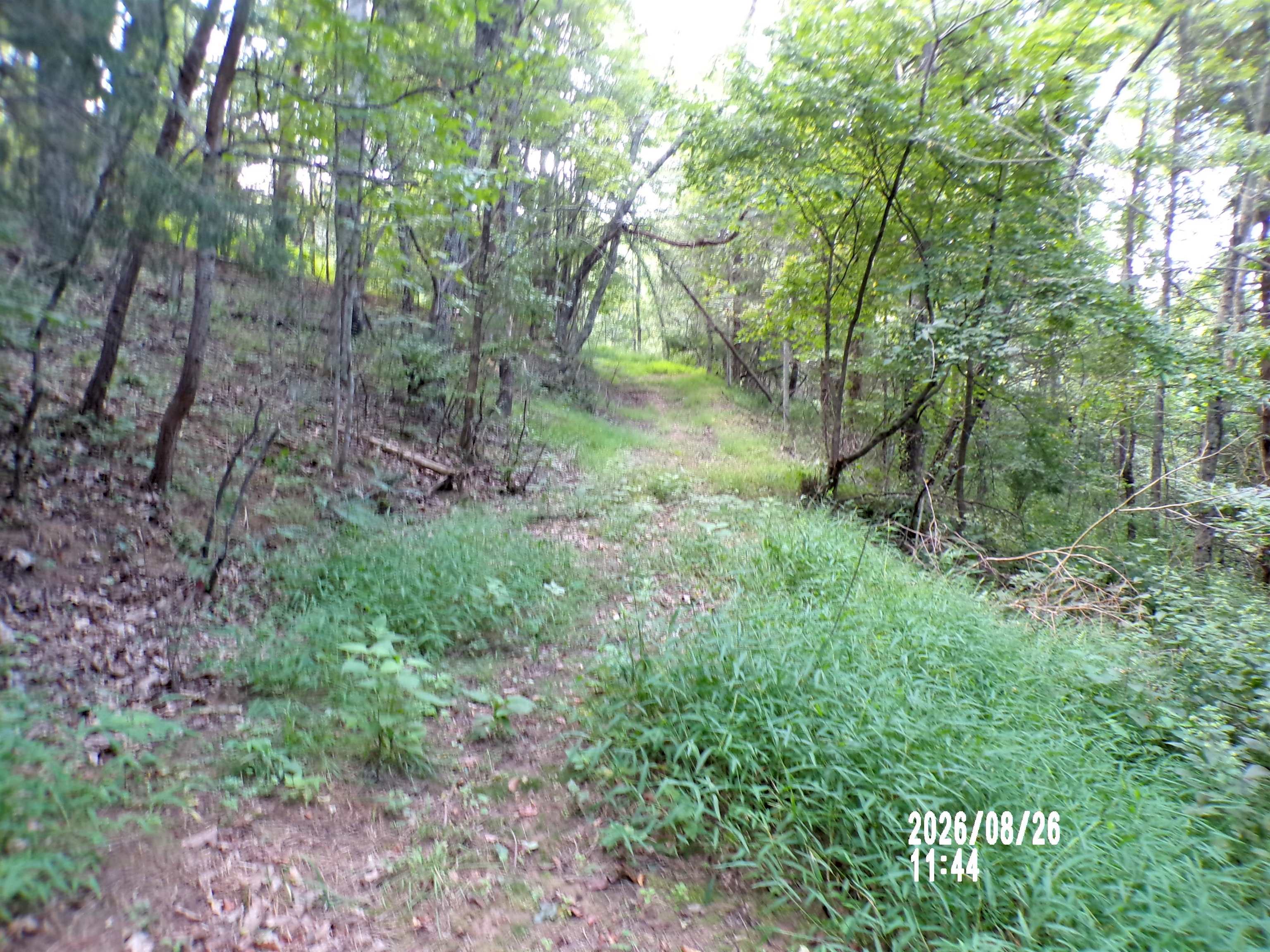 Tbd Clapboard Hollow Road Hiwassee VA 24347