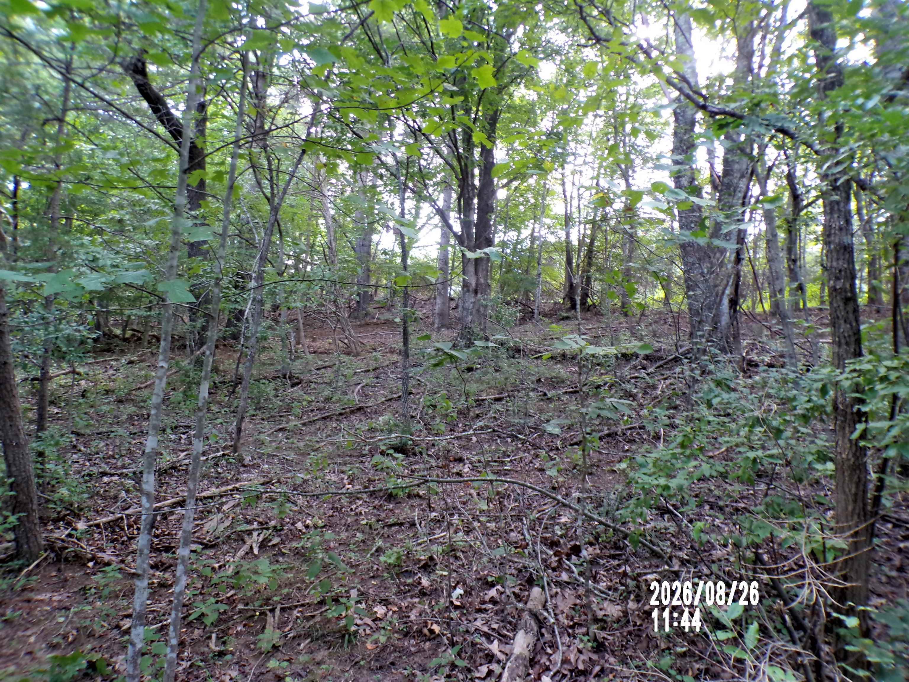 Tbd Clapboard Hollow Road Hiwassee VA 24347