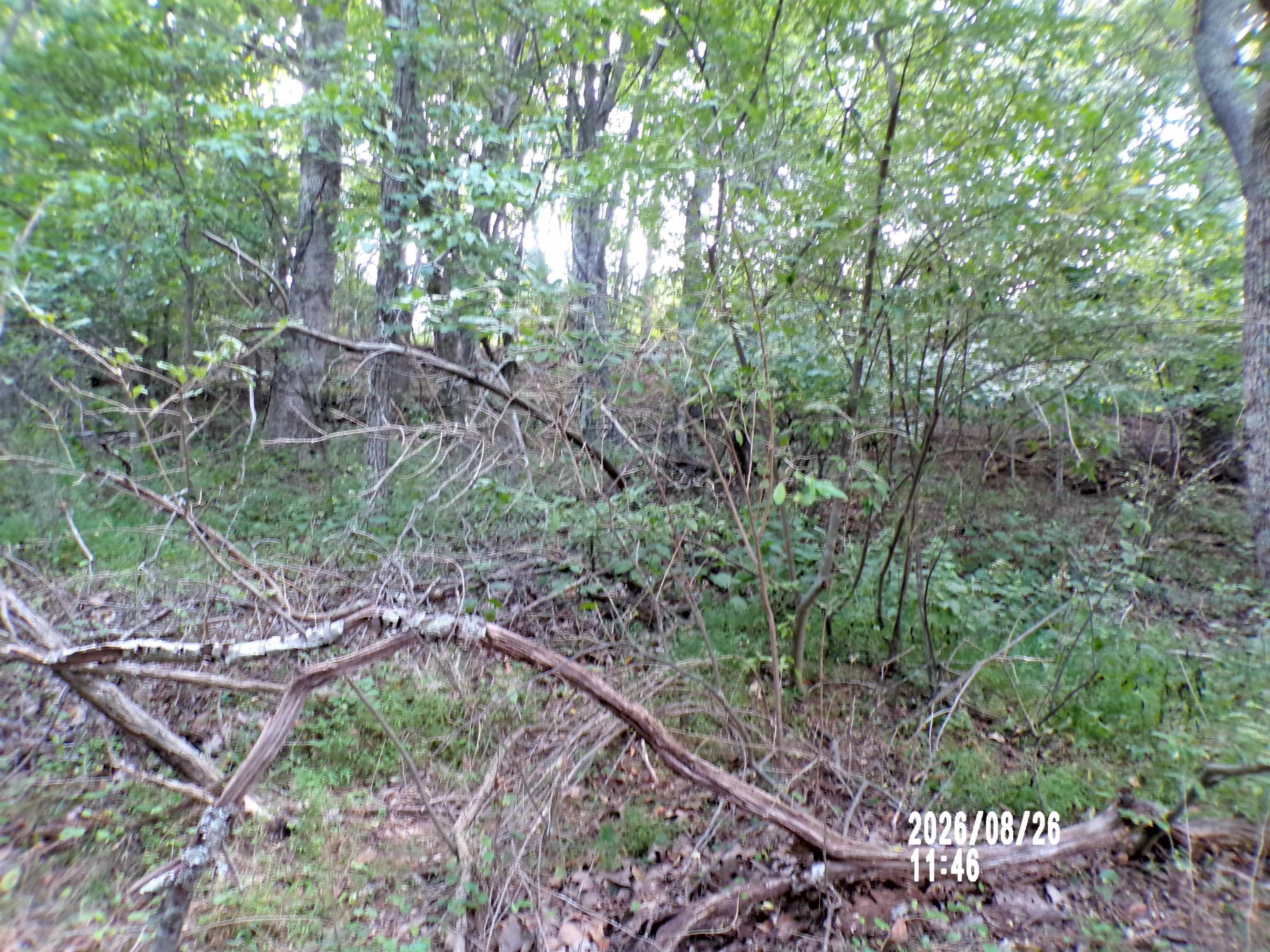 Tbd Clapboard Hollow Road Hiwassee VA 24347