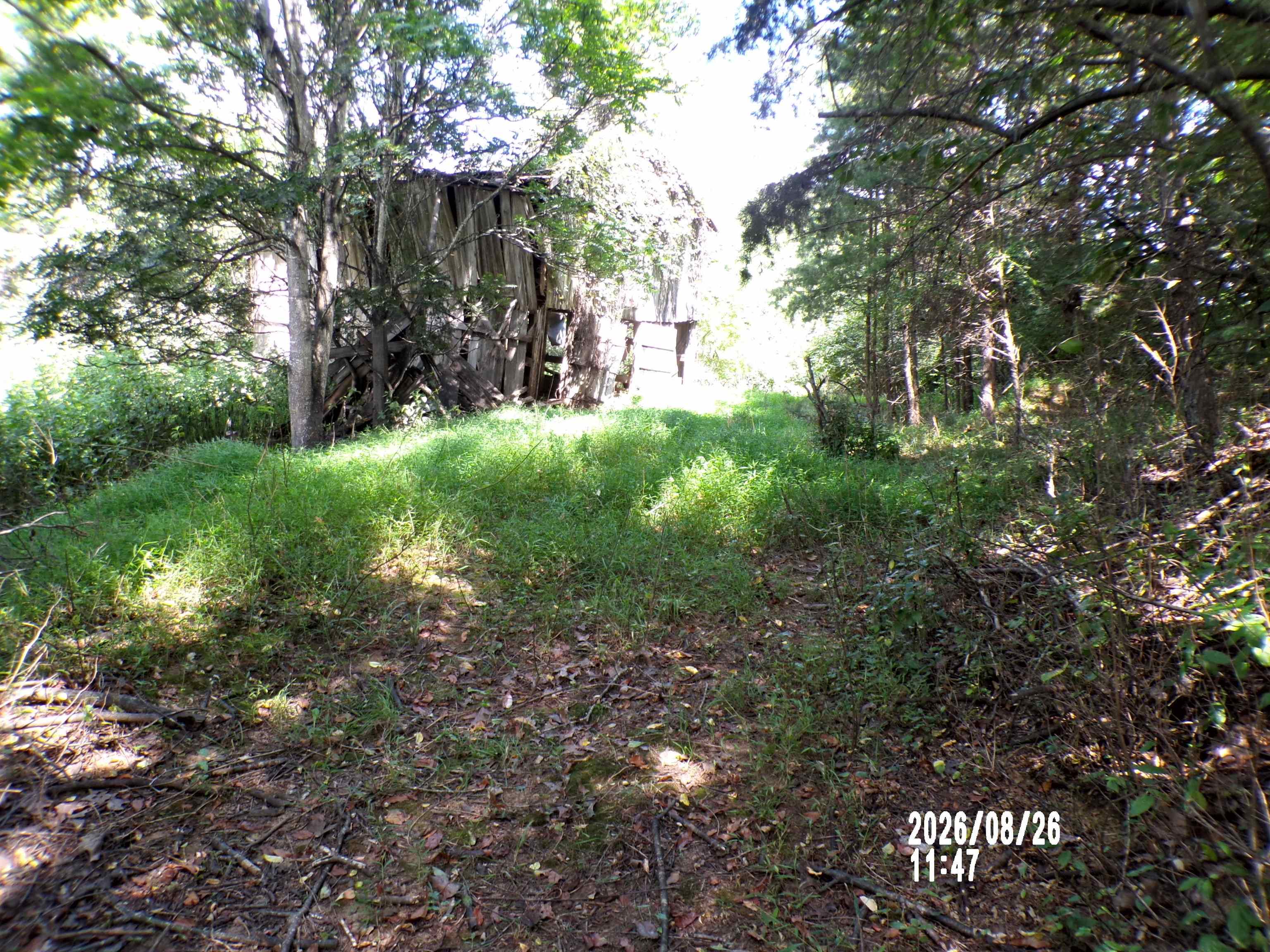 Tbd Clapboard Hollow Road Hiwassee VA 24347