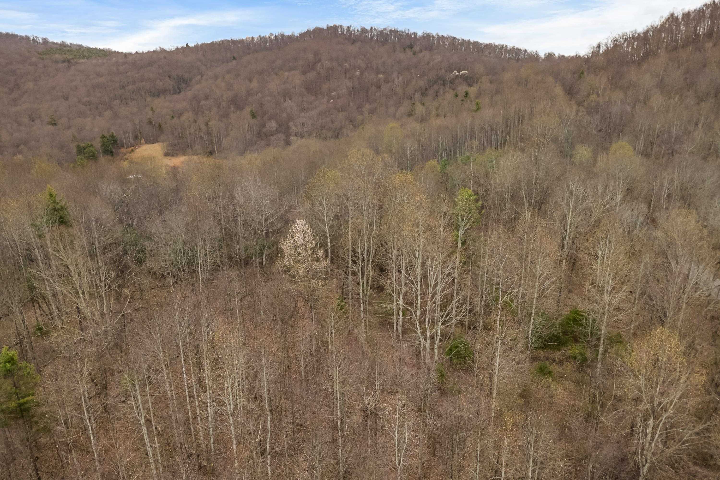 2301 Buffalo Mountain Road SW Willis VA 24380