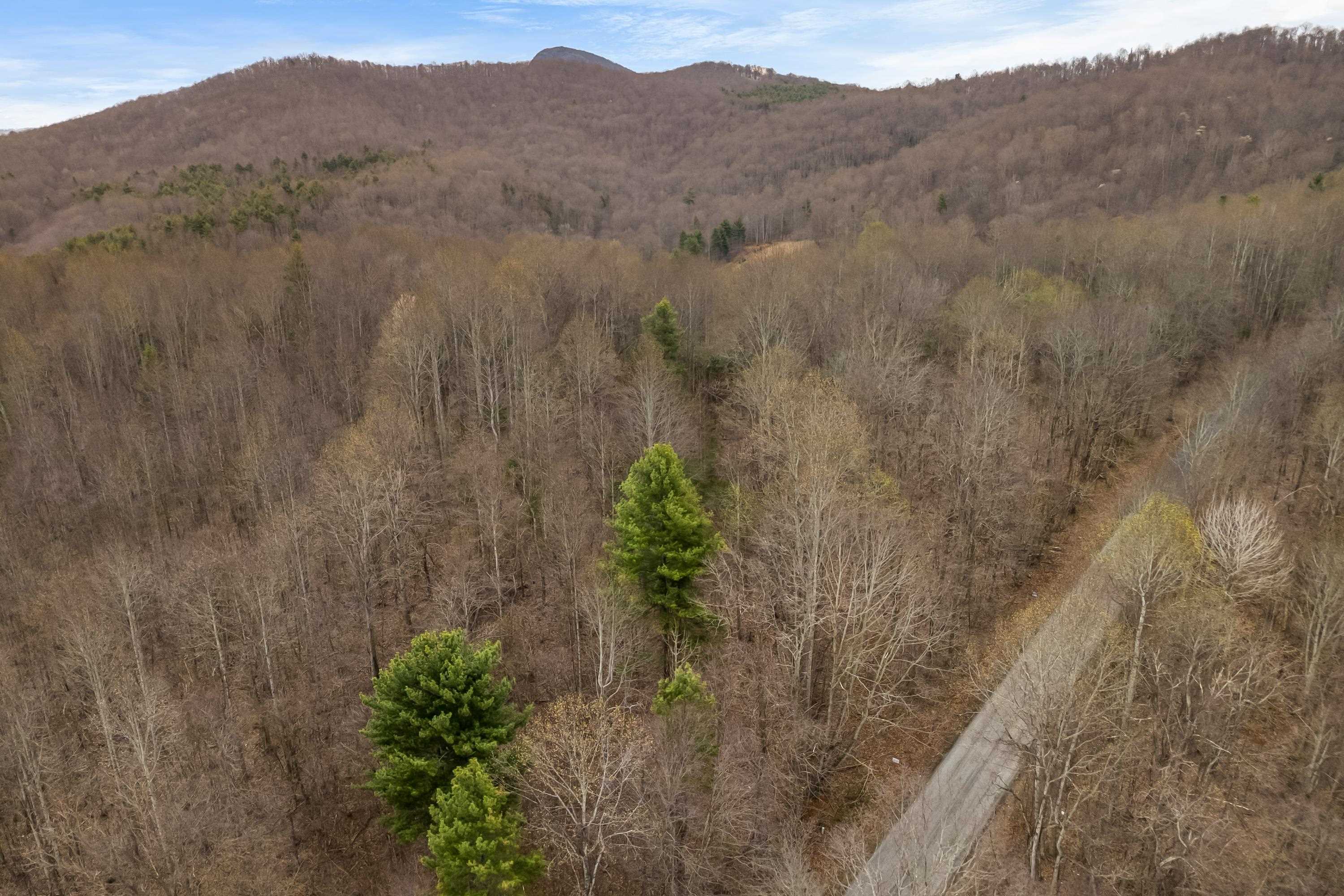 2301 Buffalo Mountain Road SW Willis VA 24380